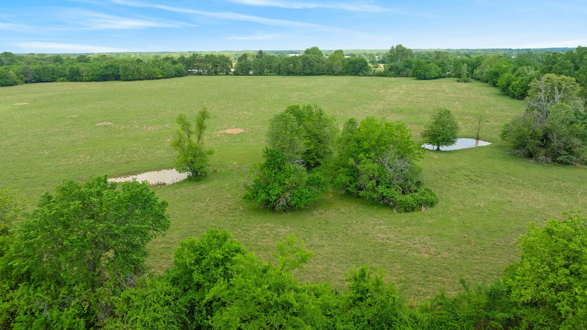 Improved Land For Sale in Red River (TX) County , 000 CR 2110, Bagwell, Texas 75412, 0, 0, Garage spaces, 0 Sqft, built in 0, Price $285,000, mls#21243464, Real Estate Agent in Bagwell, Homes For Sale in Red River (TX) county, Homes For Sale in Bagwell, Realtor in Bagwell Texas, Real Estate Brokerage Independent Realty Texas, Luminita Cordes Realtor