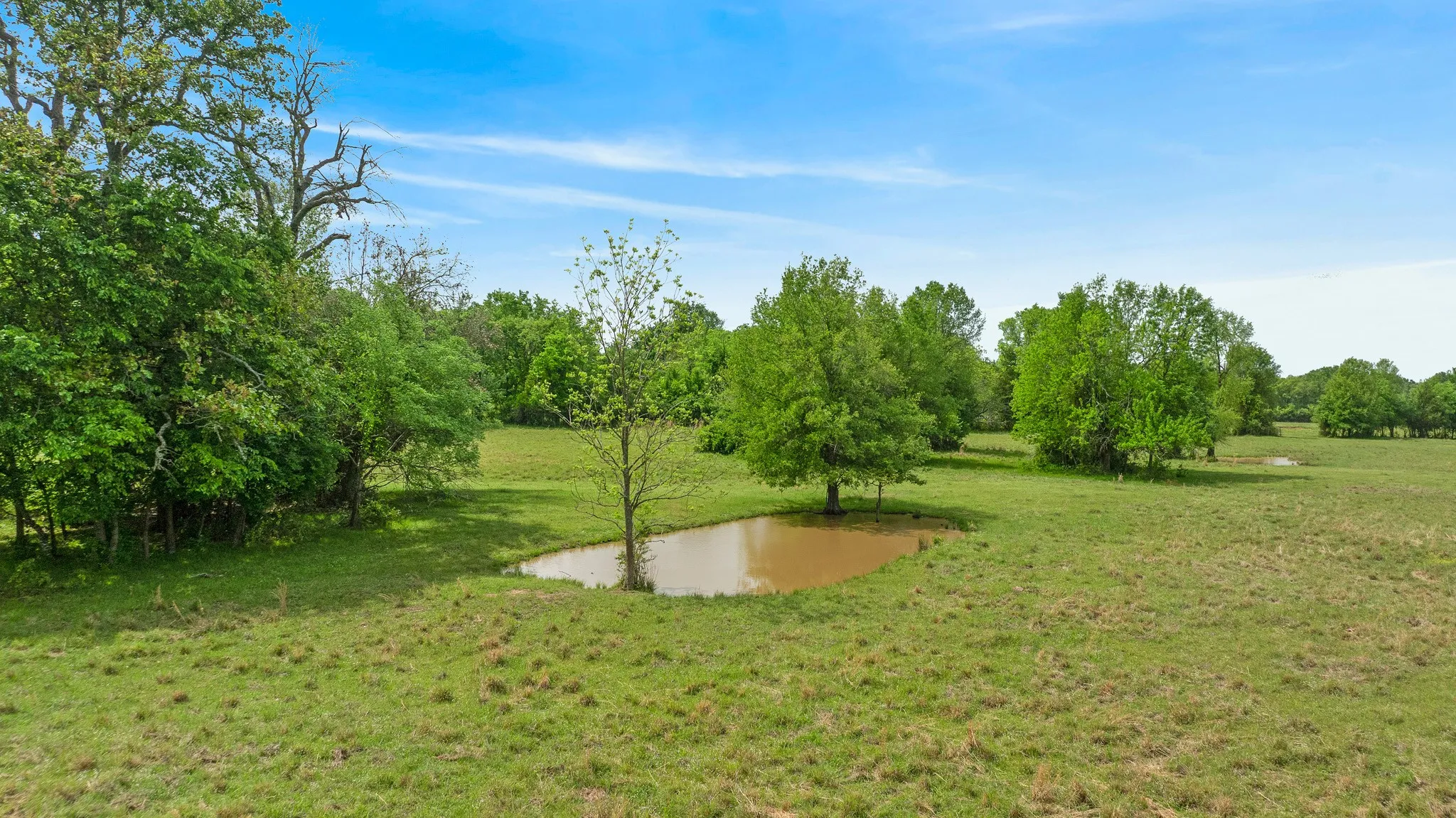 Improved Land For Sale in Red River (TX) County , 000 CR 2110, Bagwell, Texas 75412, 0, 0, Garage spaces, 0 Sqft, built in 0, Price $285,000, mls#21243464, Real Estate Agent in Bagwell, Homes For Sale in Red River (TX) county, Homes For Sale in Bagwell, Realtor in Bagwell Texas, Real Estate Brokerage Independent Realty Texas, Luminita Cordes Realtor