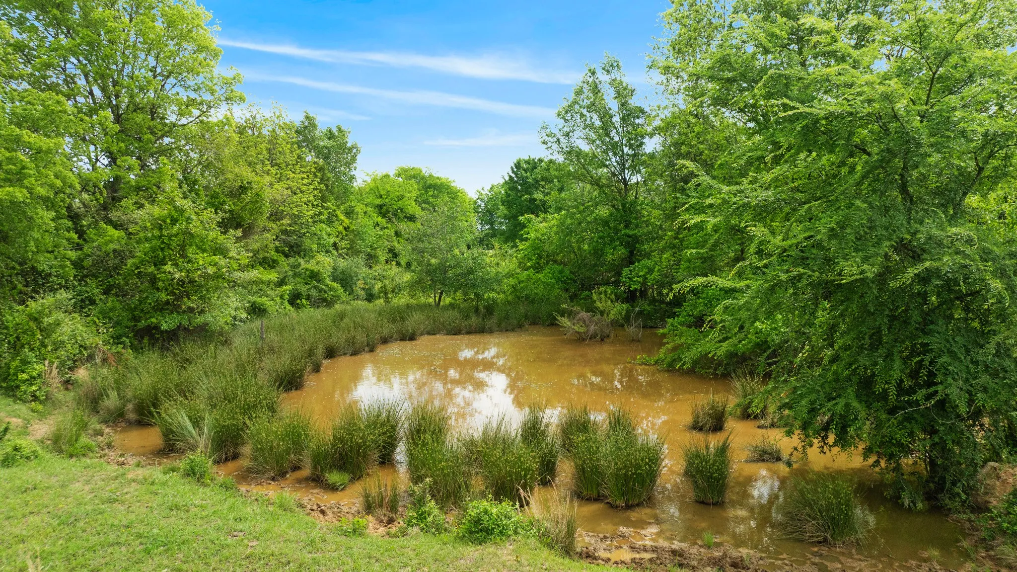 Improved Land For Sale in Red River (TX) County , 000 CR 2110, Bagwell, Texas 75412, 0, 0, Garage spaces, 0 Sqft, built in 0, Price $285,000, mls#21243464, Real Estate Agent in Bagwell, Homes For Sale in Red River (TX) county, Homes For Sale in Bagwell, Realtor in Bagwell Texas, Real Estate Brokerage Independent Realty Texas, Luminita Cordes Realtor