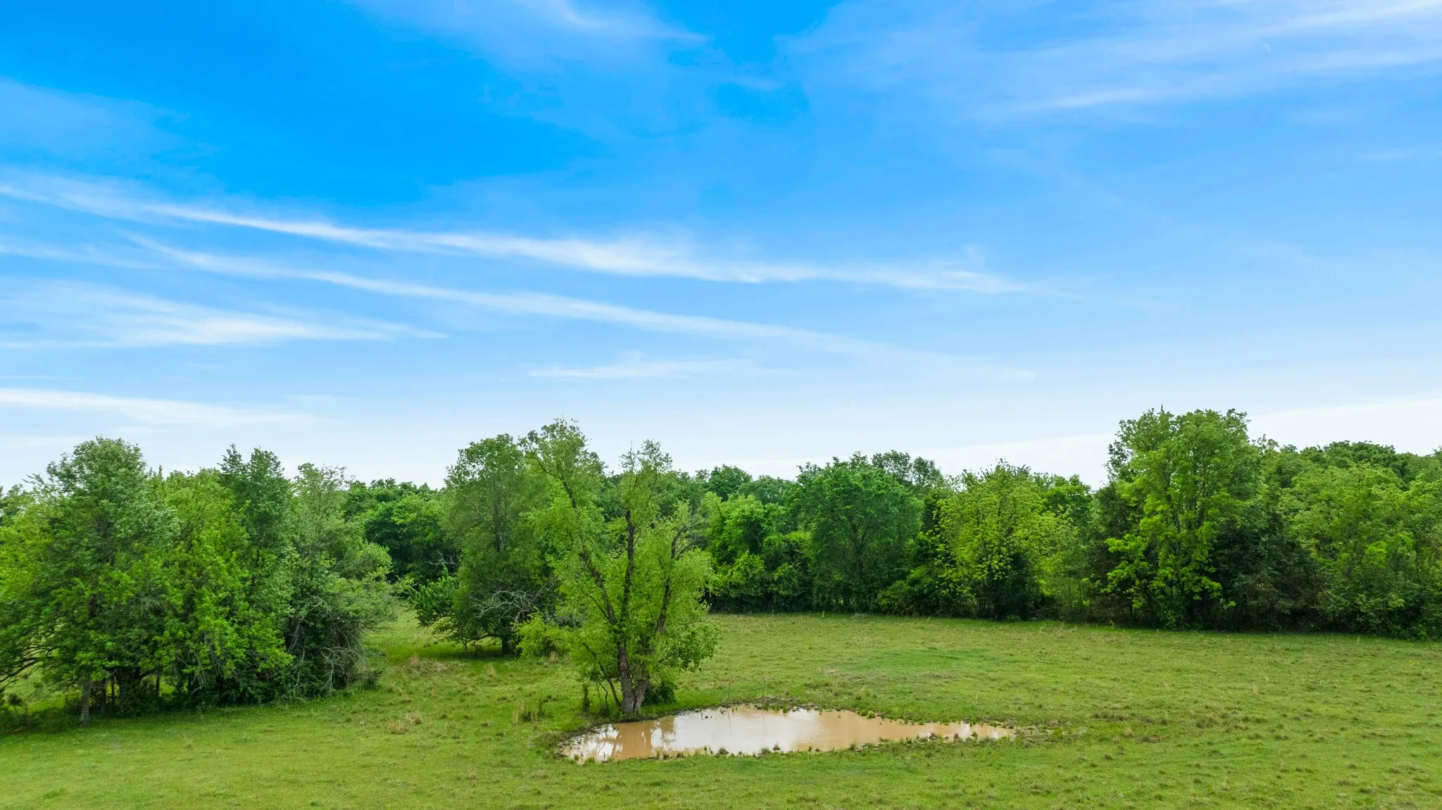 Improved Land For Sale in Red River (TX) County , 000 CR 2110, Bagwell, Texas 75412, 0, 0, Garage spaces, 0 Sqft, built in 0, Price $285,000, mls#21243464, Real Estate Agent in Bagwell, Homes For Sale in Red River (TX) county, Homes For Sale in Bagwell, Realtor in Bagwell Texas, Real Estate Brokerage Independent Realty Texas, Luminita Cordes Realtor