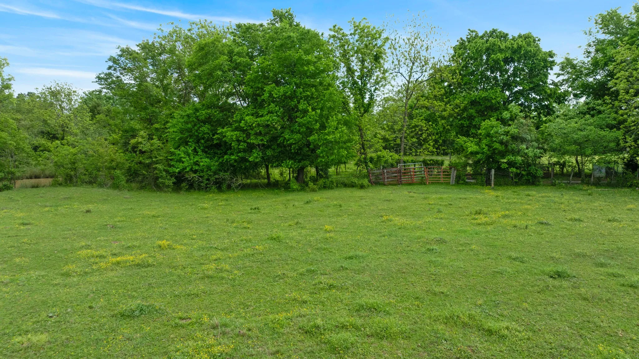 Improved Land For Sale in Red River (TX) County , 000 CR 2110, Bagwell, Texas 75412, 0, 0, Garage spaces, 0 Sqft, built in 0, Price $285,000, mls#21243464, Real Estate Agent in Bagwell, Homes For Sale in Red River (TX) county, Homes For Sale in Bagwell, Realtor in Bagwell Texas, Real Estate Brokerage Independent Realty Texas, Luminita Cordes Realtor