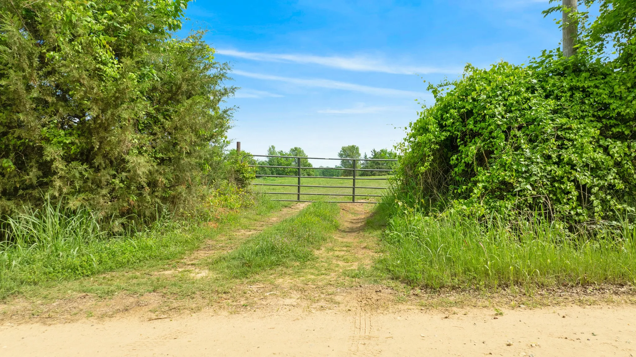 Improved Land For Sale in Red River (TX) County , 000 CR 2110, Bagwell, Texas 75412, 0, 0, Garage spaces, 0 Sqft, built in 0, Price $285,000, mls#21243464, Real Estate Agent in Bagwell, Homes For Sale in Red River (TX) county, Homes For Sale in Bagwell, Realtor in Bagwell Texas, Real Estate Brokerage Independent Realty Texas, Luminita Cordes Realtor