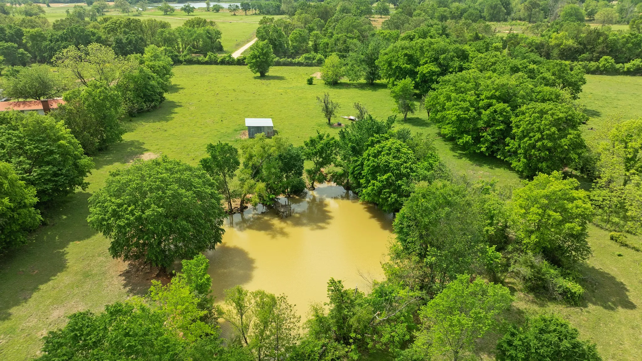 Improved Land For Sale in Red River (TX) County , 000 CR 2110, Bagwell, Texas 75412, 0, 0, Garage spaces, 0 Sqft, built in 0, Price $285,000, mls#21243464, Real Estate Agent in Bagwell, Homes For Sale in Red River (TX) county, Homes For Sale in Bagwell, Realtor in Bagwell Texas, Real Estate Brokerage Independent Realty Texas, Luminita Cordes Realtor