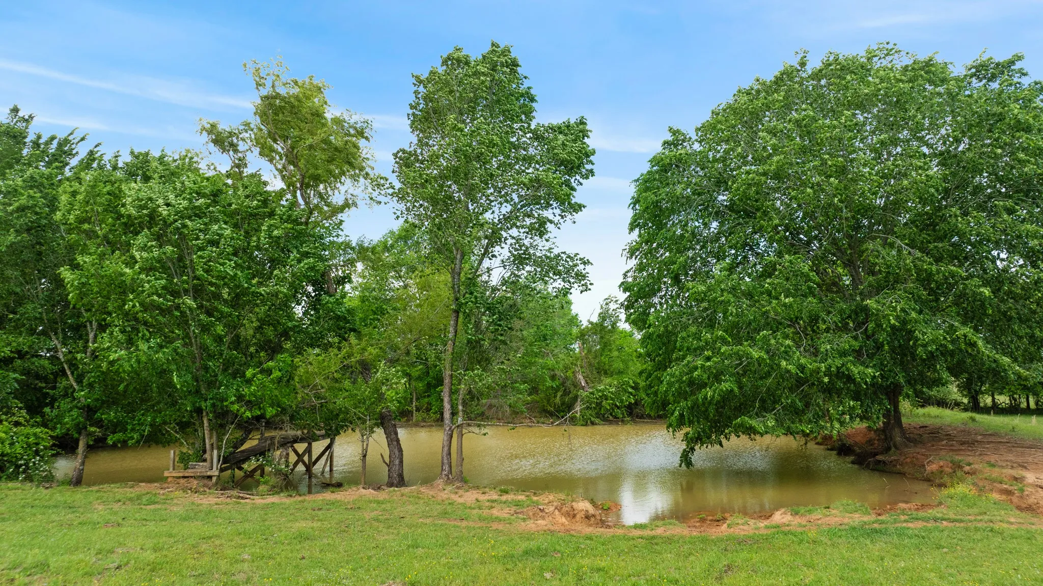 Improved Land For Sale in Red River (TX) County , 000 CR 2110, Bagwell, Texas 75412, 0, 0, Garage spaces, 0 Sqft, built in 0, Price $285,000, mls#21243464, Real Estate Agent in Bagwell, Homes For Sale in Red River (TX) county, Homes For Sale in Bagwell, Realtor in Bagwell Texas, Real Estate Brokerage Independent Realty Texas, Luminita Cordes Realtor