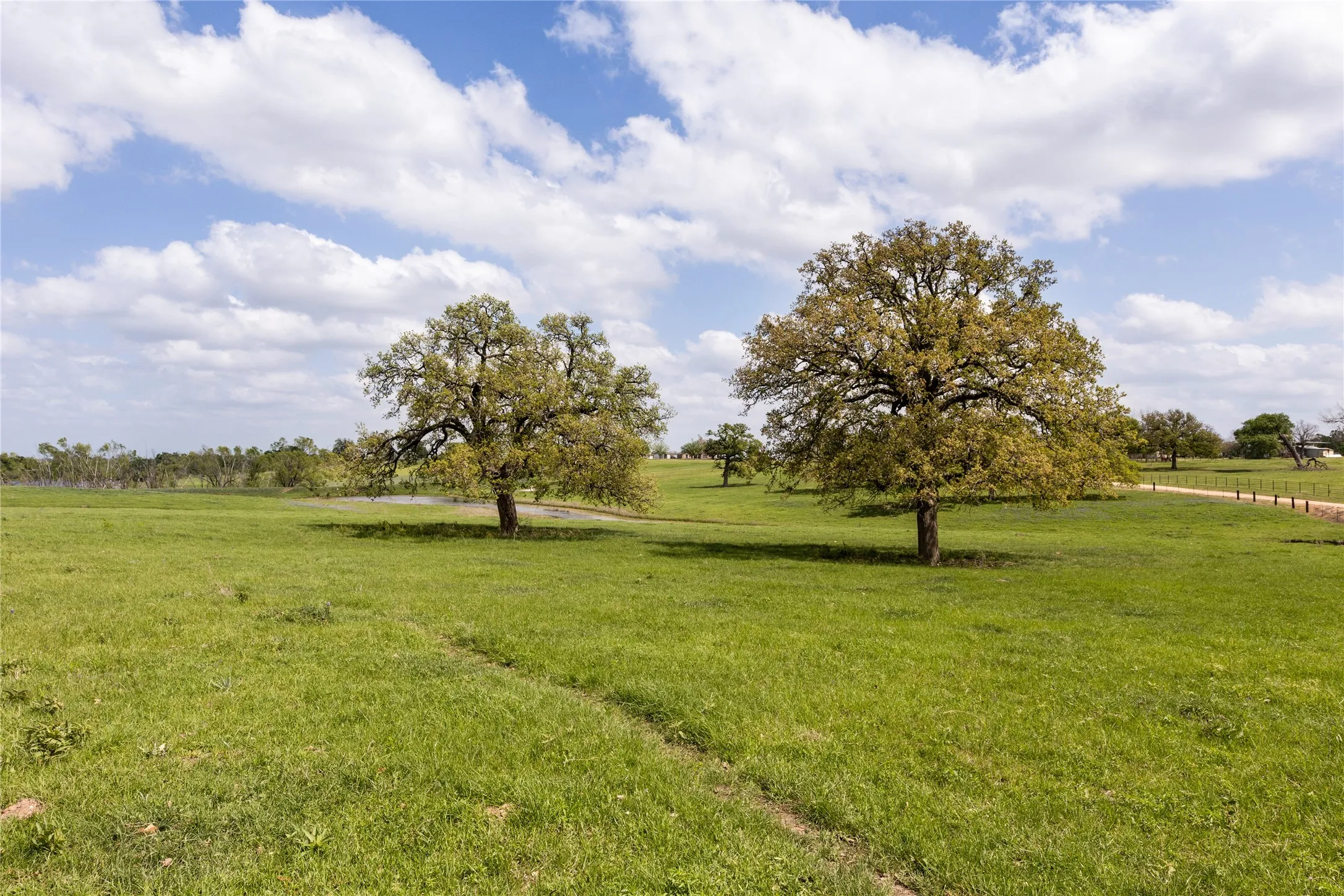Ranch For Sale in Milam County , 730 County Road 226A, Cameron, Texas 76520, 0, 0, Garage spaces, 0 Sqft, built in 1997, mls#21244670, Real Estate Agent in Cameron, Homes For Sale in Milam county, Homes For Sale in Cameron, Realtor in Cameron Texas, Real Estate Brokerage Independent Realty Texas, Luminita Cordes Realtor