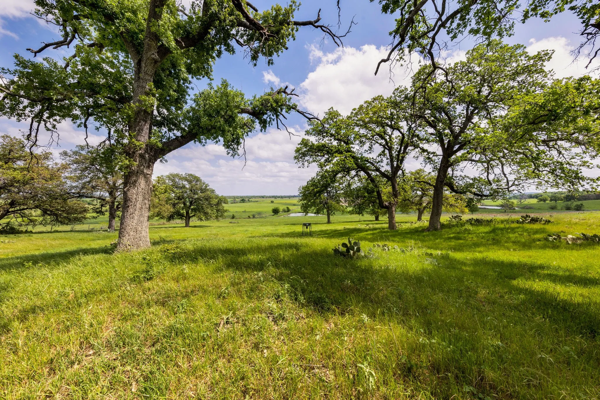 Ranch For Sale in Milam County , 730 County Road 226A, Cameron, Texas 76520, 0, 0, Garage spaces, 0 Sqft, built in 1997, mls#21244670, Real Estate Agent in Cameron, Homes For Sale in Milam county, Homes For Sale in Cameron, Realtor in Cameron Texas, Real Estate Brokerage Independent Realty Texas, Luminita Cordes Realtor