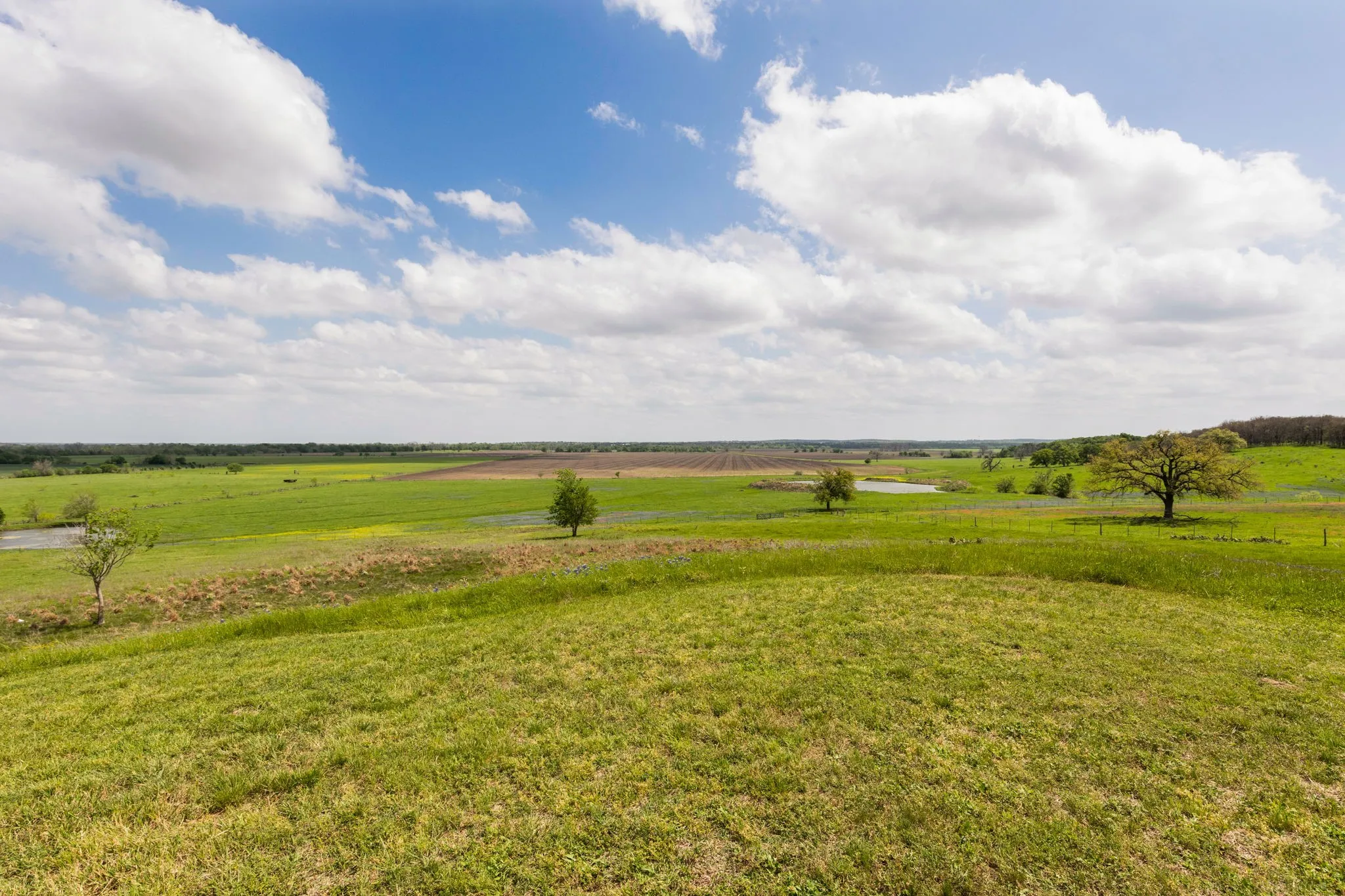 Ranch For Sale in Milam County , 730 County Road 226A, Cameron, Texas 76520, 0, 0, Garage spaces, 0 Sqft, built in 1997, mls#21244670, Real Estate Agent in Cameron, Homes For Sale in Milam county, Homes For Sale in Cameron, Realtor in Cameron Texas, Real Estate Brokerage Independent Realty Texas, Luminita Cordes Realtor