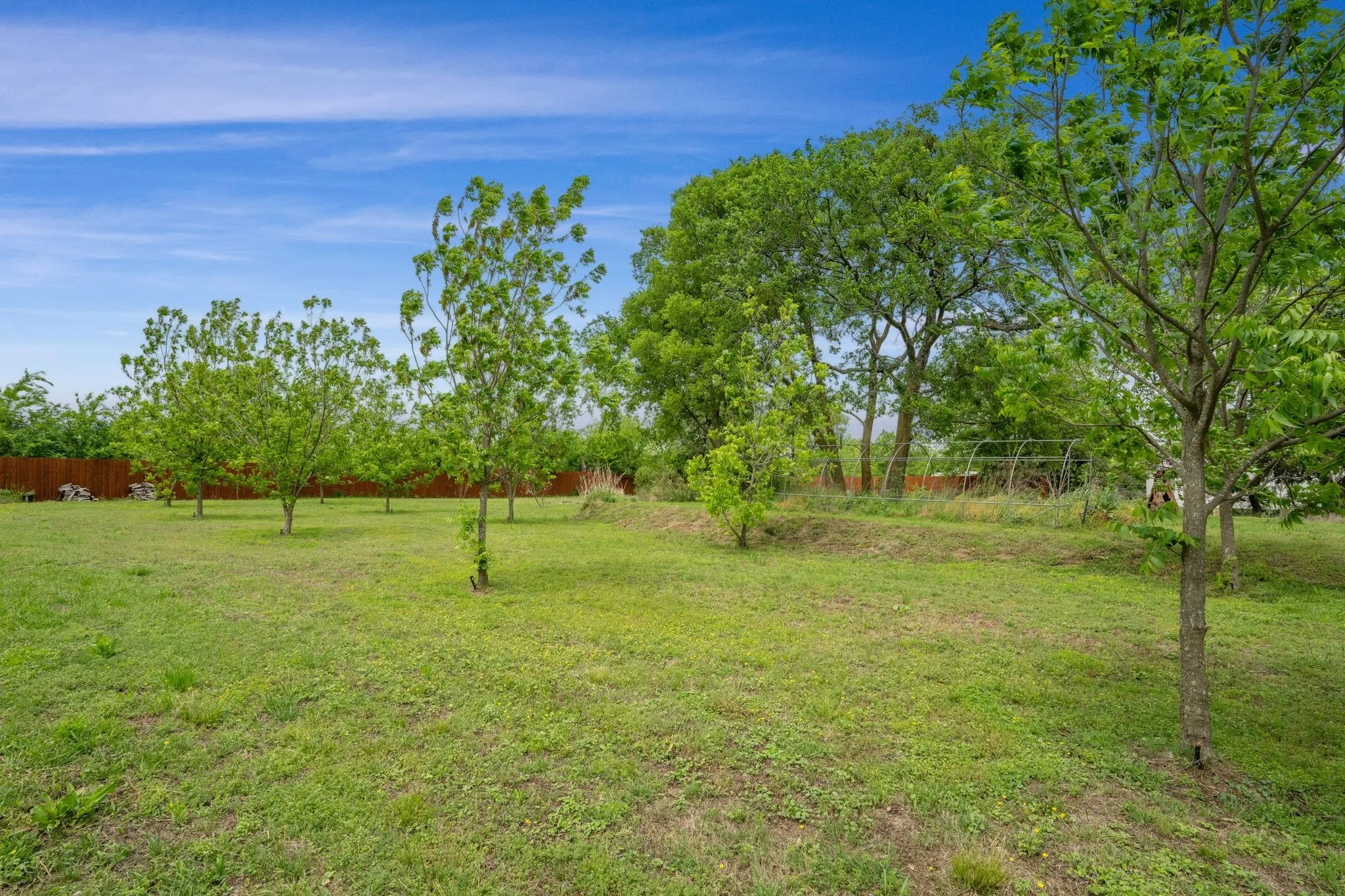 Expansive outdoor space featuring a large grassy area with multiple trees