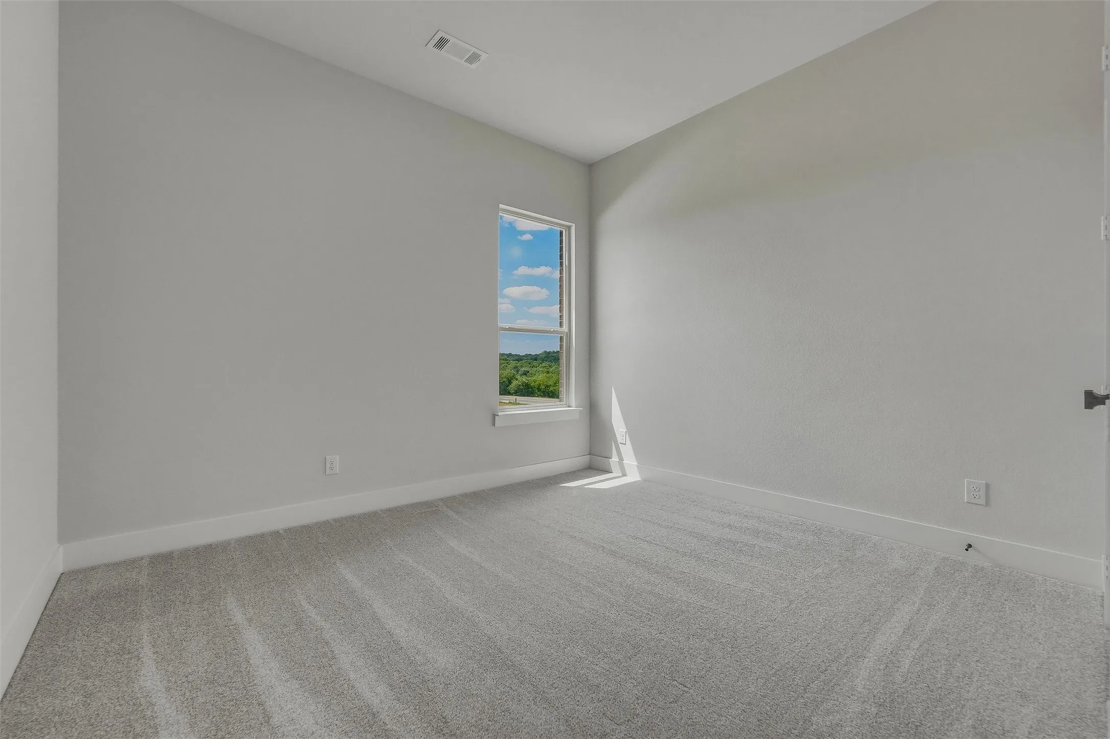 Textured carpeting, light grey wall paint, white trim, and a framed window