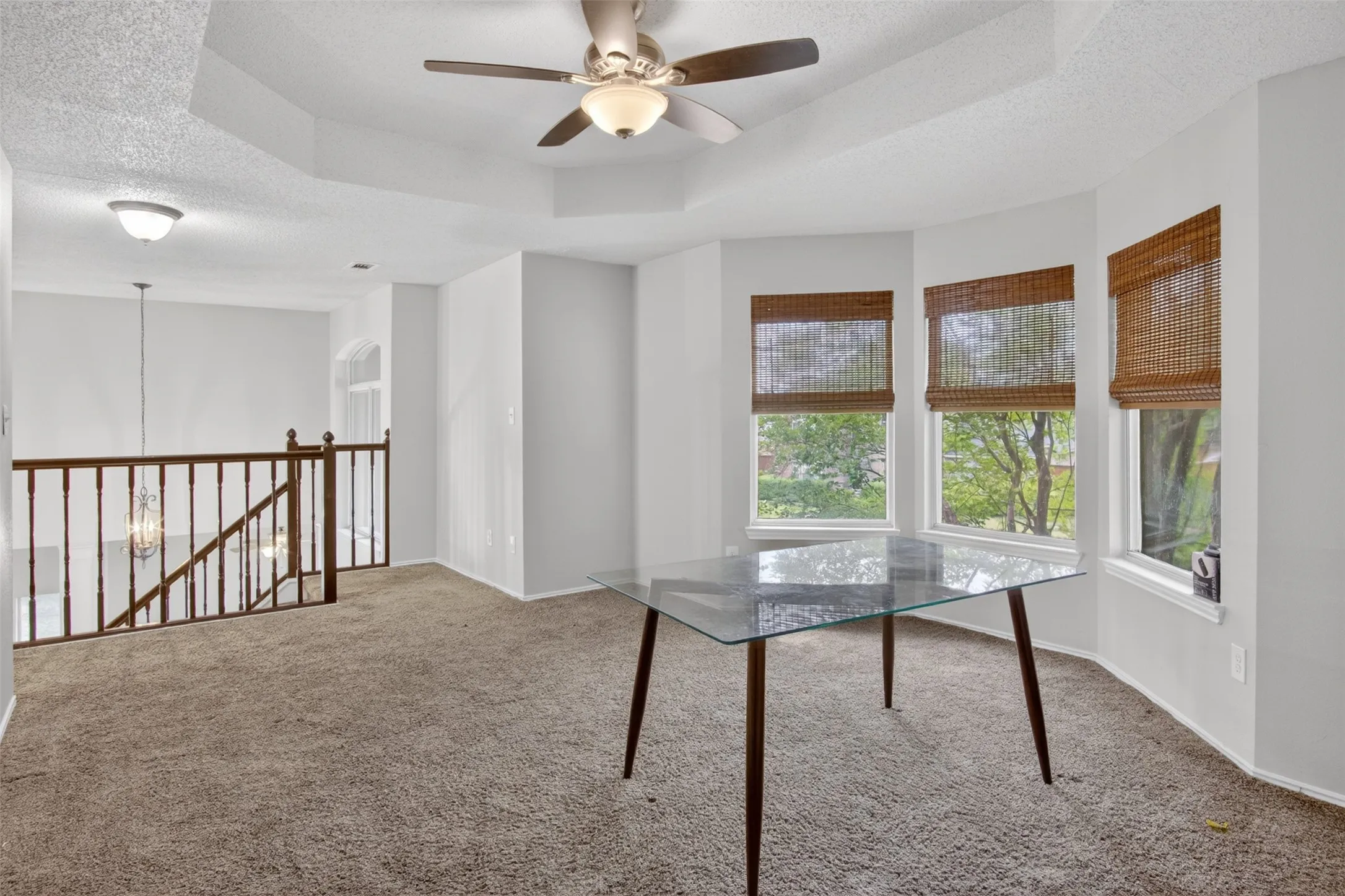 This versatile area features a tray ceiling, a ceiling fan, and carpeted flooring