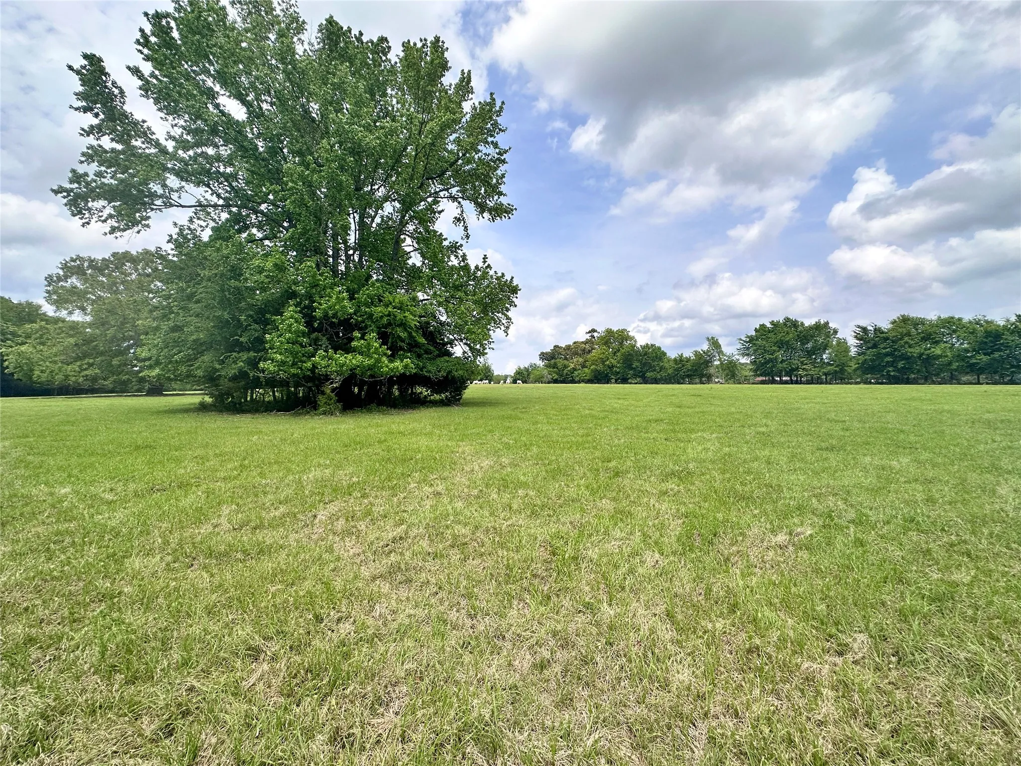 Unimproved Land For Sale in Anderson County , 0 US Highway 175, Frankston, Texas 75763, 0, 0, Garage spaces, 0 Sqft, built in 0, Price $399,000, mls#21244784, Real Estate Agent in Frankston, Homes For Sale in Anderson county, Homes For Sale in Frankston, Realtor in Frankston Texas, Real Estate Brokerage Independent Realty Texas, Luminita Cordes Realtor