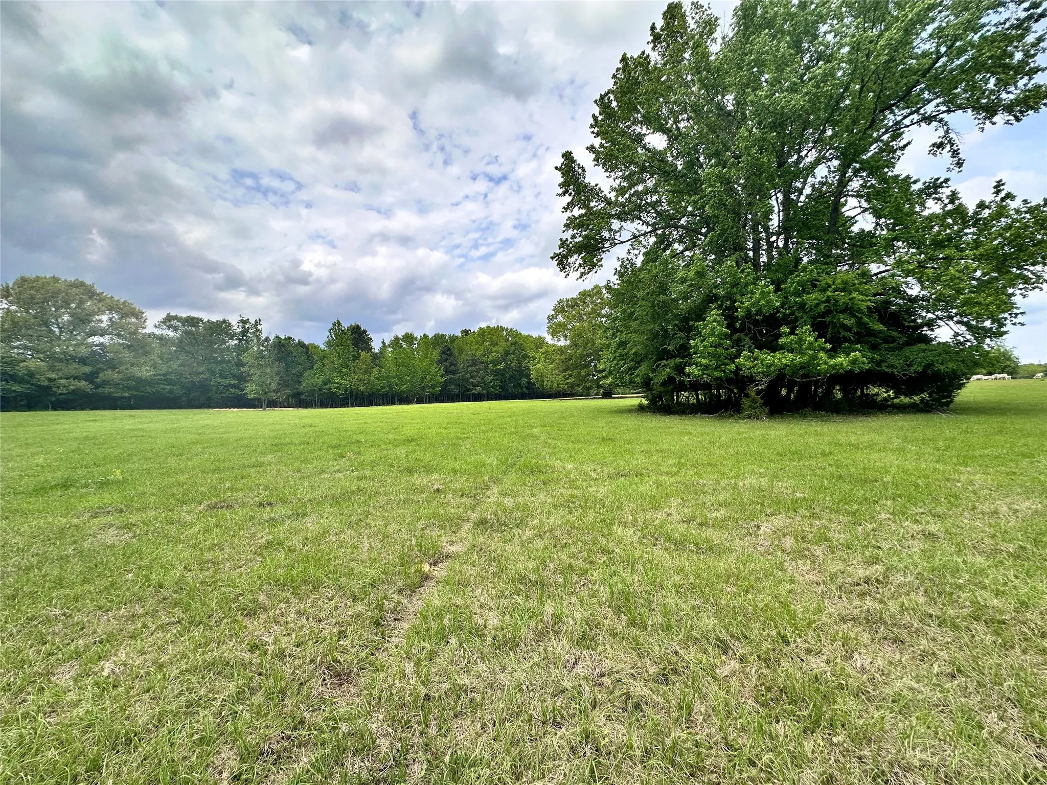 Unimproved Land For Sale in Anderson County , 0 US Highway 175, Frankston, Texas 75763, 0, 0, Garage spaces, 0 Sqft, built in 0, Price $399,000, mls#21244784, Real Estate Agent in Frankston, Homes For Sale in Anderson county, Homes For Sale in Frankston, Realtor in Frankston Texas, Real Estate Brokerage Independent Realty Texas, Luminita Cordes Realtor