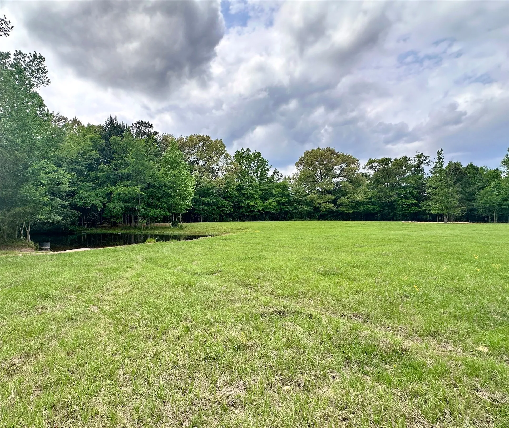 Unimproved Land For Sale in Anderson County , 0 US Highway 175, Frankston, Texas 75763, 0, 0, Garage spaces, 0 Sqft, built in 0, Price $399,000, mls#21244784, Real Estate Agent in Frankston, Homes For Sale in Anderson county, Homes For Sale in Frankston, Realtor in Frankston Texas, Real Estate Brokerage Independent Realty Texas, Luminita Cordes Realtor