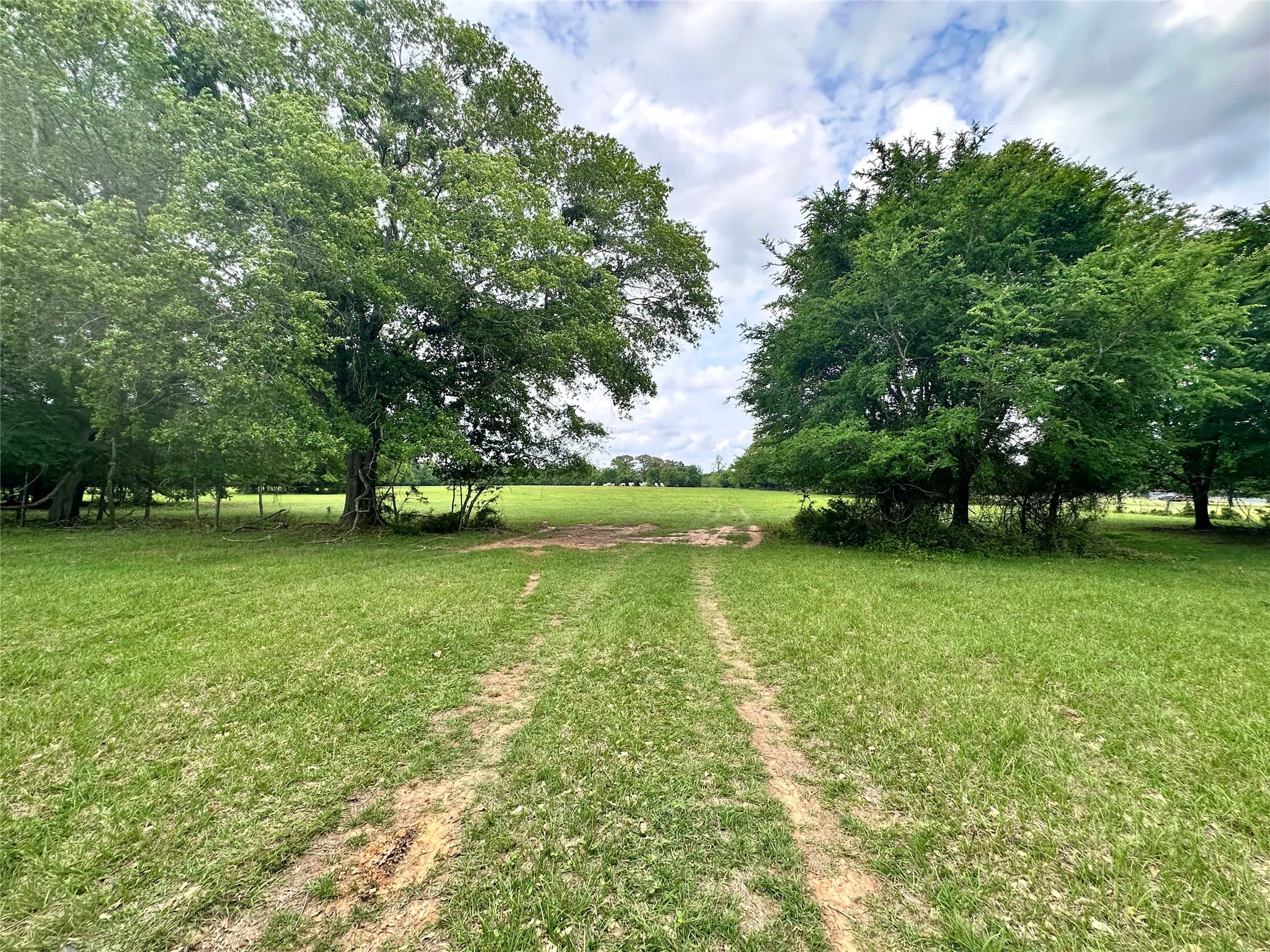 Unimproved Land For Sale in Anderson County , 0 US Highway 175, Frankston, Texas 75763, 0, 0, Garage spaces, 0 Sqft, built in 0, Price $399,000, mls#21244784, Real Estate Agent in Frankston, Homes For Sale in Anderson county, Homes For Sale in Frankston, Realtor in Frankston Texas, Real Estate Brokerage Independent Realty Texas, Luminita Cordes Realtor