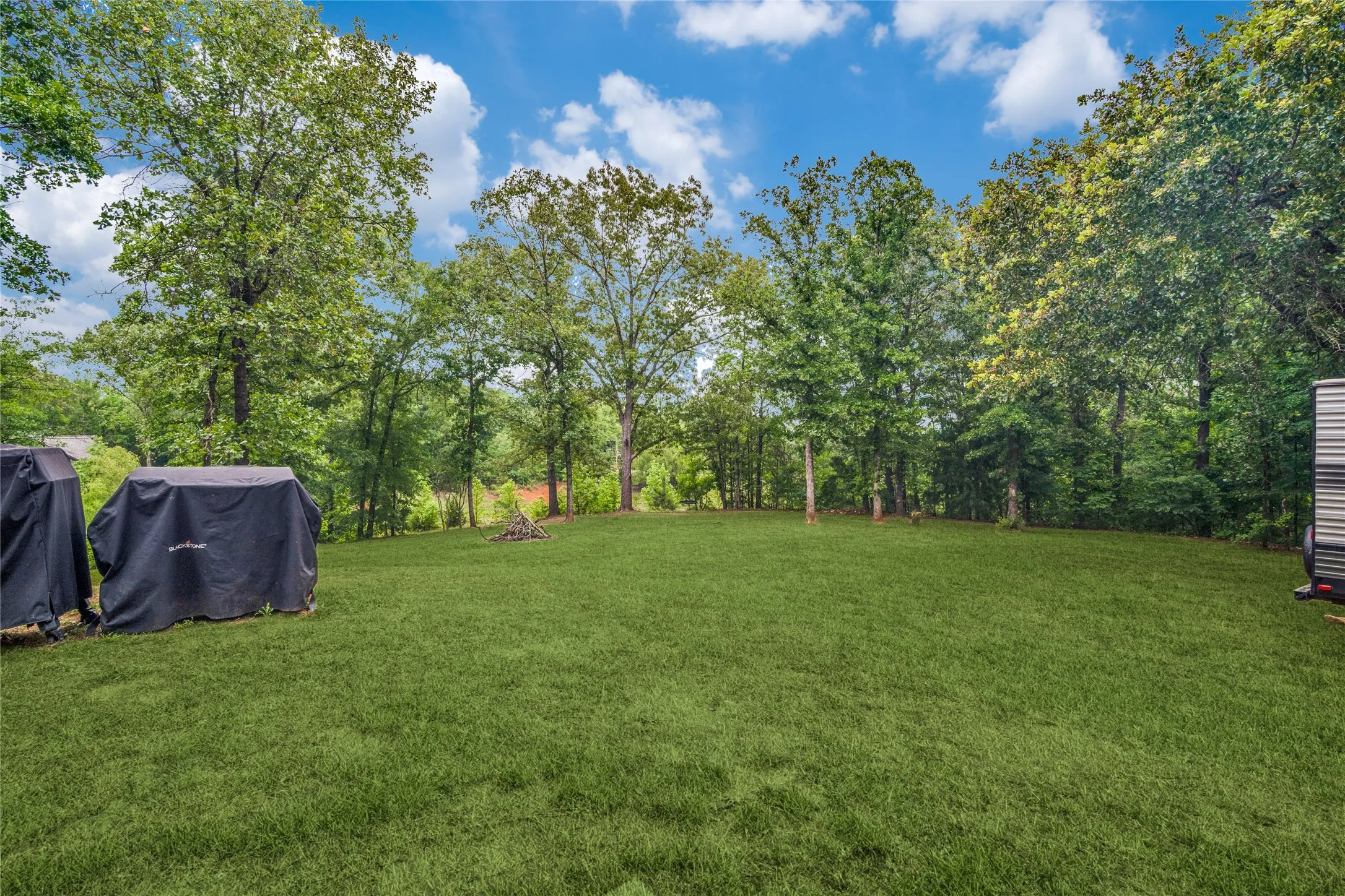 Huge yard