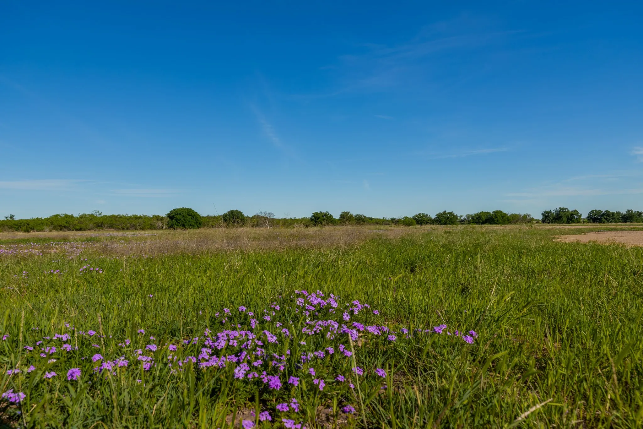 Ranch For Sale in Coleman County , TBD C.R. 132, Coleman, Texas 76834, 0, 0, Garage spaces, 0 Sqft, built in 0, Price $1,292,000, mls#21241900, Real Estate Agent in Coleman, Homes For Sale in Coleman county, Homes For Sale in Coleman, Realtor in Coleman Texas, Real Estate Brokerage Independent Realty Texas, Luminita Cordes Realtor