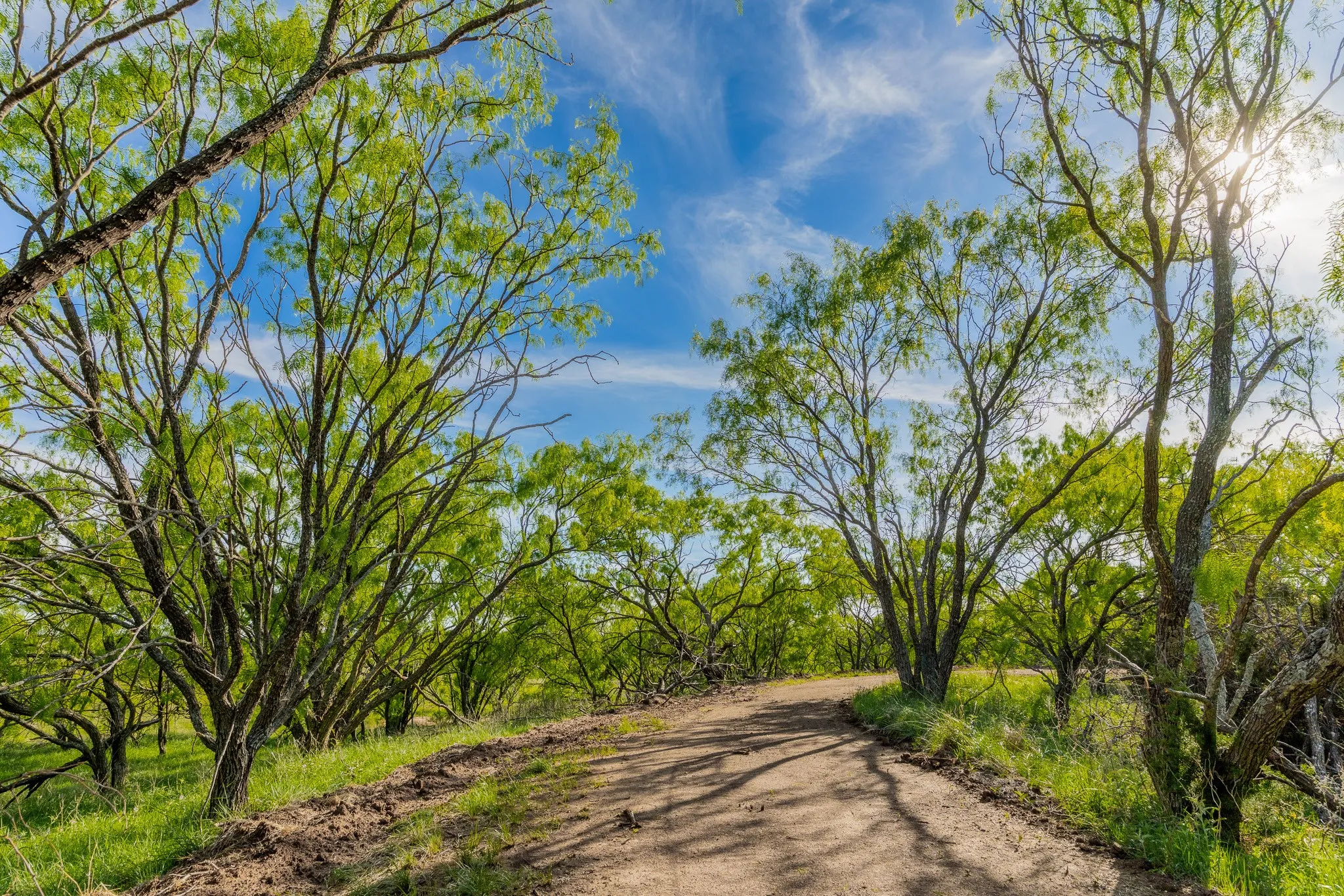 Ranch For Sale in Coleman County , TBD C.R. 132, Coleman, Texas 76834, 0, 0, Garage spaces, 0 Sqft, built in 0, Price $1,292,000, mls#21241900, Real Estate Agent in Coleman, Homes For Sale in Coleman county, Homes For Sale in Coleman, Realtor in Coleman Texas, Real Estate Brokerage Independent Realty Texas, Luminita Cordes Realtor