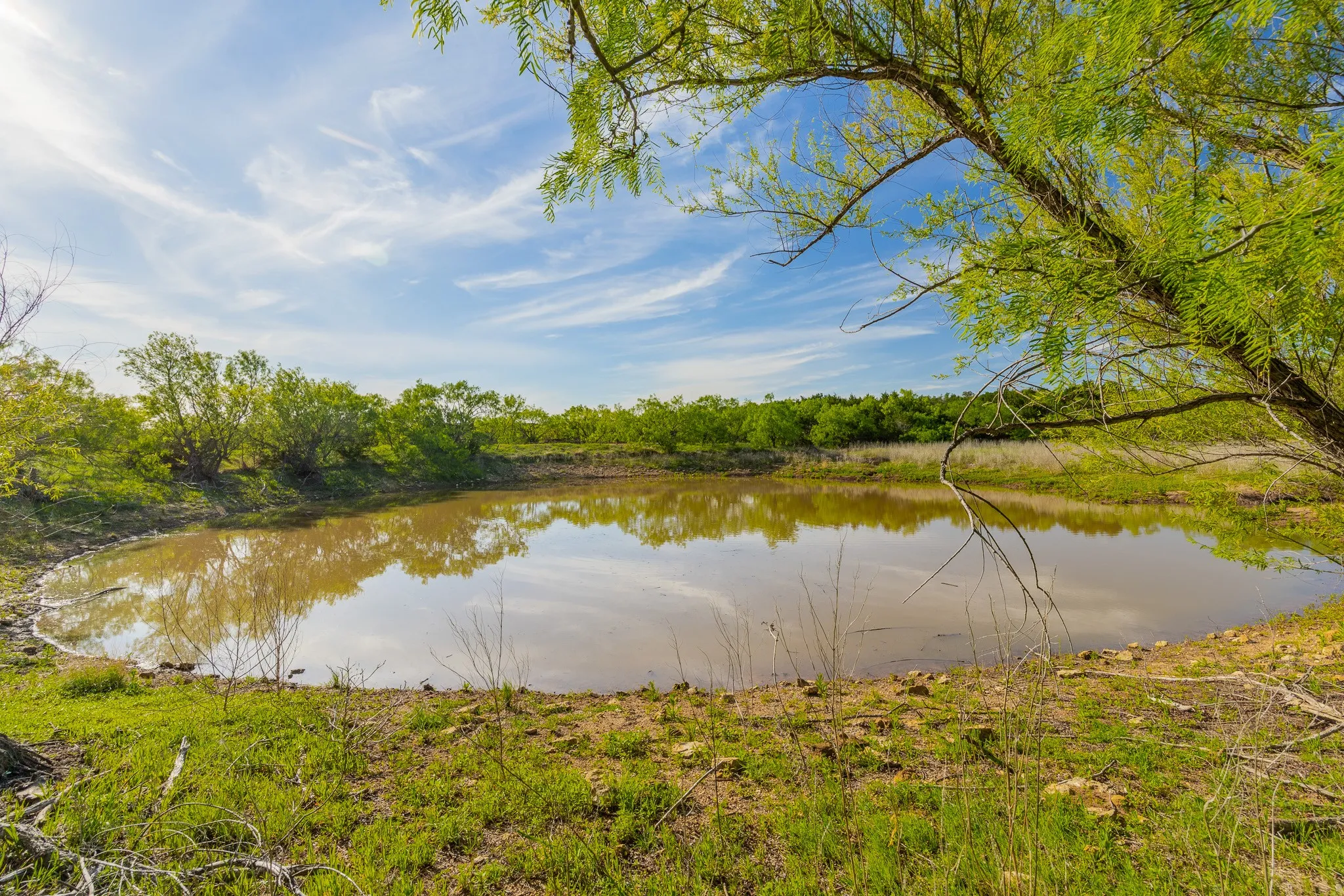 Ranch For Sale in Coleman County , TBD C.R. 132, Coleman, Texas 76834, 0, 0, Garage spaces, 0 Sqft, built in 0, Price $1,292,000, mls#21241900, Real Estate Agent in Coleman, Homes For Sale in Coleman county, Homes For Sale in Coleman, Realtor in Coleman Texas, Real Estate Brokerage Independent Realty Texas, Luminita Cordes Realtor