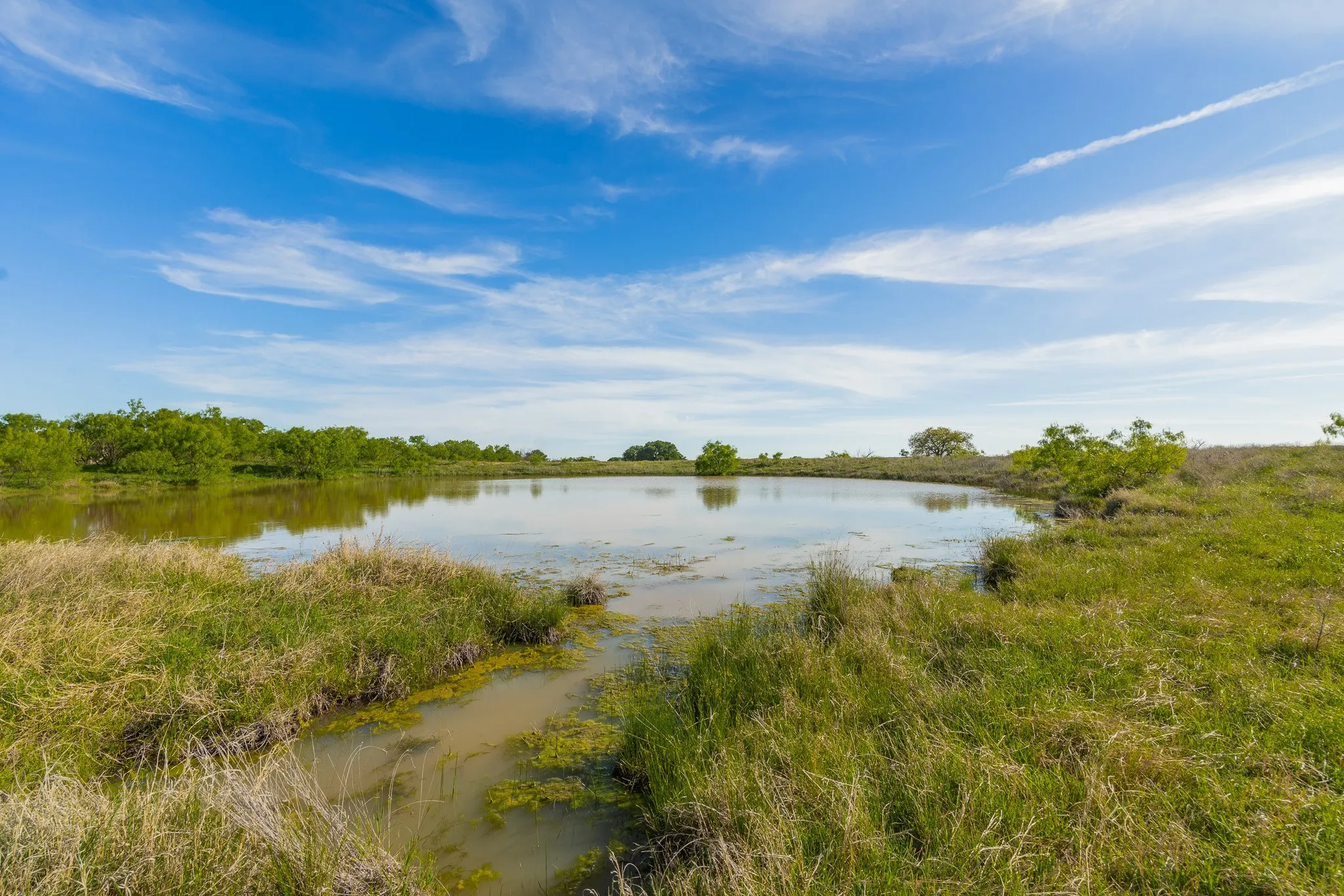 Ranch For Sale in Coleman County , TBD C.R. 132, Coleman, Texas 76834, 0, 0, Garage spaces, 0 Sqft, built in 0, Price $1,292,000, mls#21241900, Real Estate Agent in Coleman, Homes For Sale in Coleman county, Homes For Sale in Coleman, Realtor in Coleman Texas, Real Estate Brokerage Independent Realty Texas, Luminita Cordes Realtor