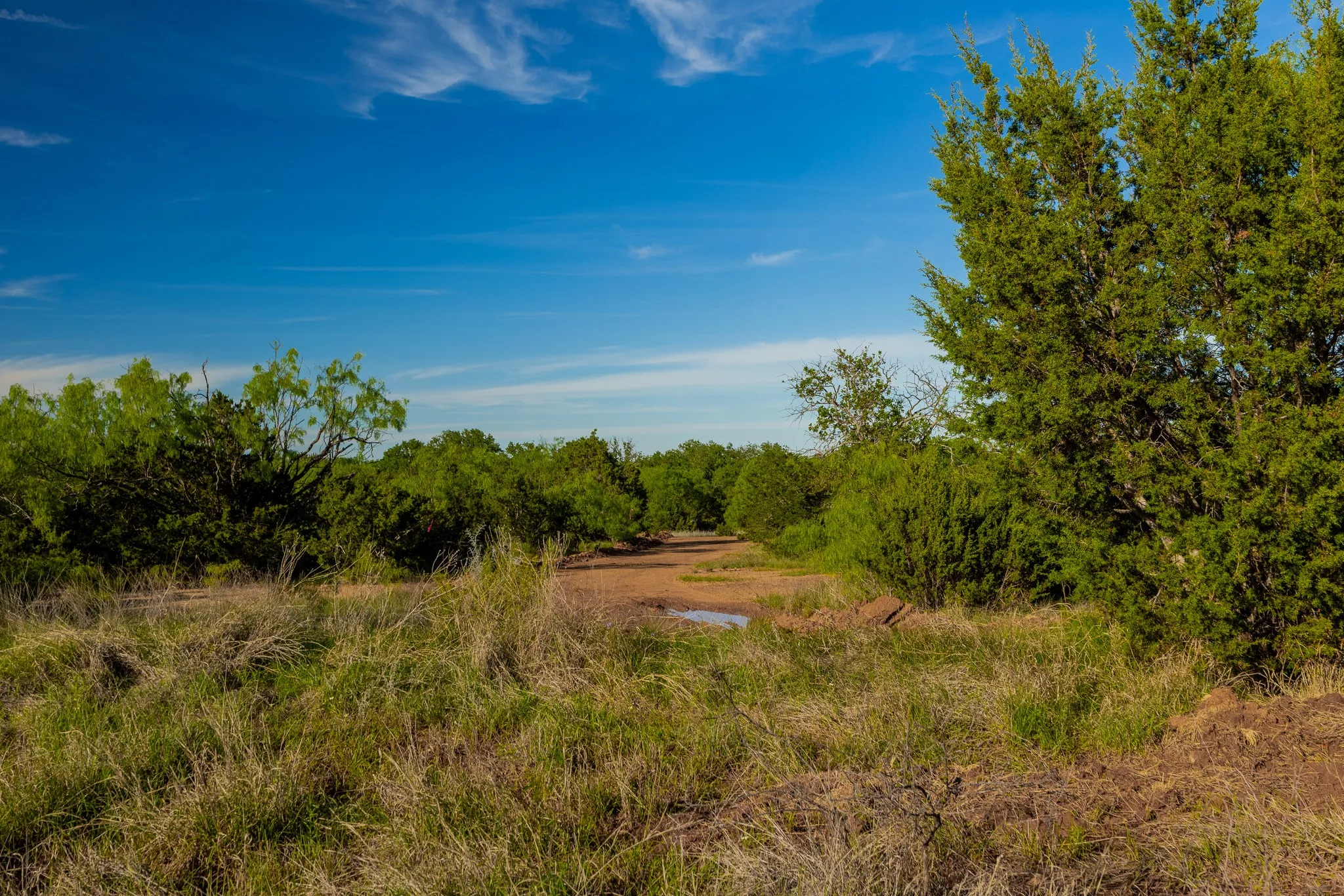Ranch For Sale in Coleman County , TBD C.R. 132, Coleman, Texas 76834, 0, 0, Garage spaces, 0 Sqft, built in 0, Price $1,292,000, mls#21241900, Real Estate Agent in Coleman, Homes For Sale in Coleman county, Homes For Sale in Coleman, Realtor in Coleman Texas, Real Estate Brokerage Independent Realty Texas, Luminita Cordes Realtor