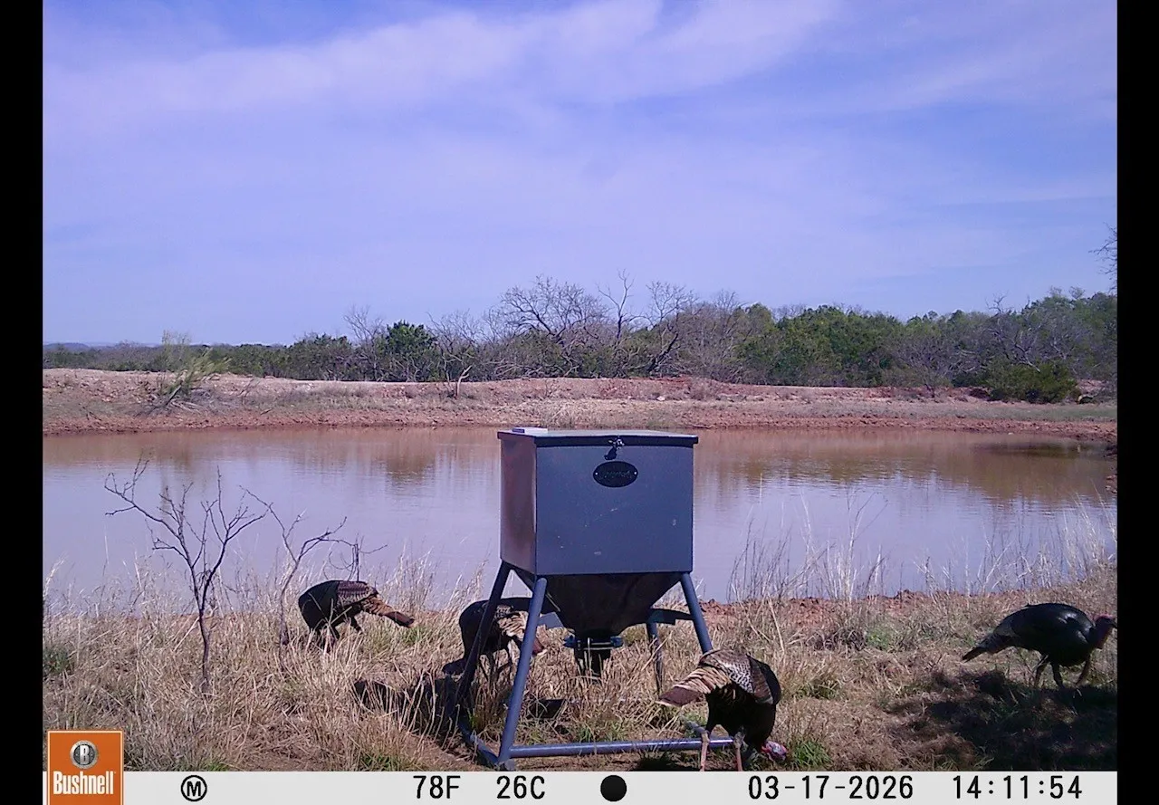 Ranch For Sale in Coleman County , TBD C.R. 132, Coleman, Texas 76834, 0, 0, Garage spaces, 0 Sqft, built in 0, Price $1,292,000, mls#21241900, Real Estate Agent in Coleman, Homes For Sale in Coleman county, Homes For Sale in Coleman, Realtor in Coleman Texas, Real Estate Brokerage Independent Realty Texas, Luminita Cordes Realtor
