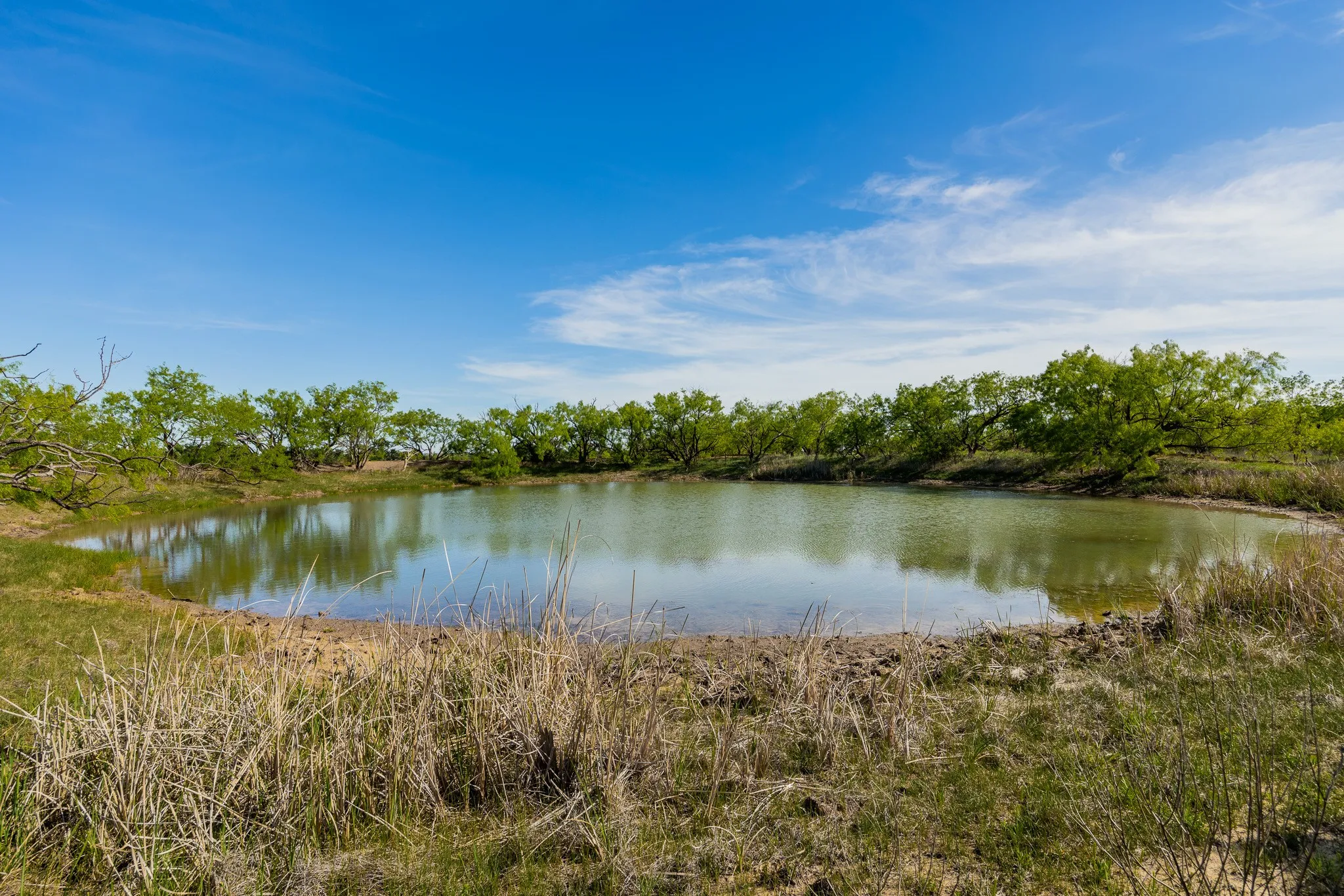 Ranch For Sale in Coleman County , TBD C.R. 132, Coleman, Texas 76834, 0, 0, Garage spaces, 0 Sqft, built in 0, Price $1,292,000, mls#21241900, Real Estate Agent in Coleman, Homes For Sale in Coleman county, Homes For Sale in Coleman, Realtor in Coleman Texas, Real Estate Brokerage Independent Realty Texas, Luminita Cordes Realtor