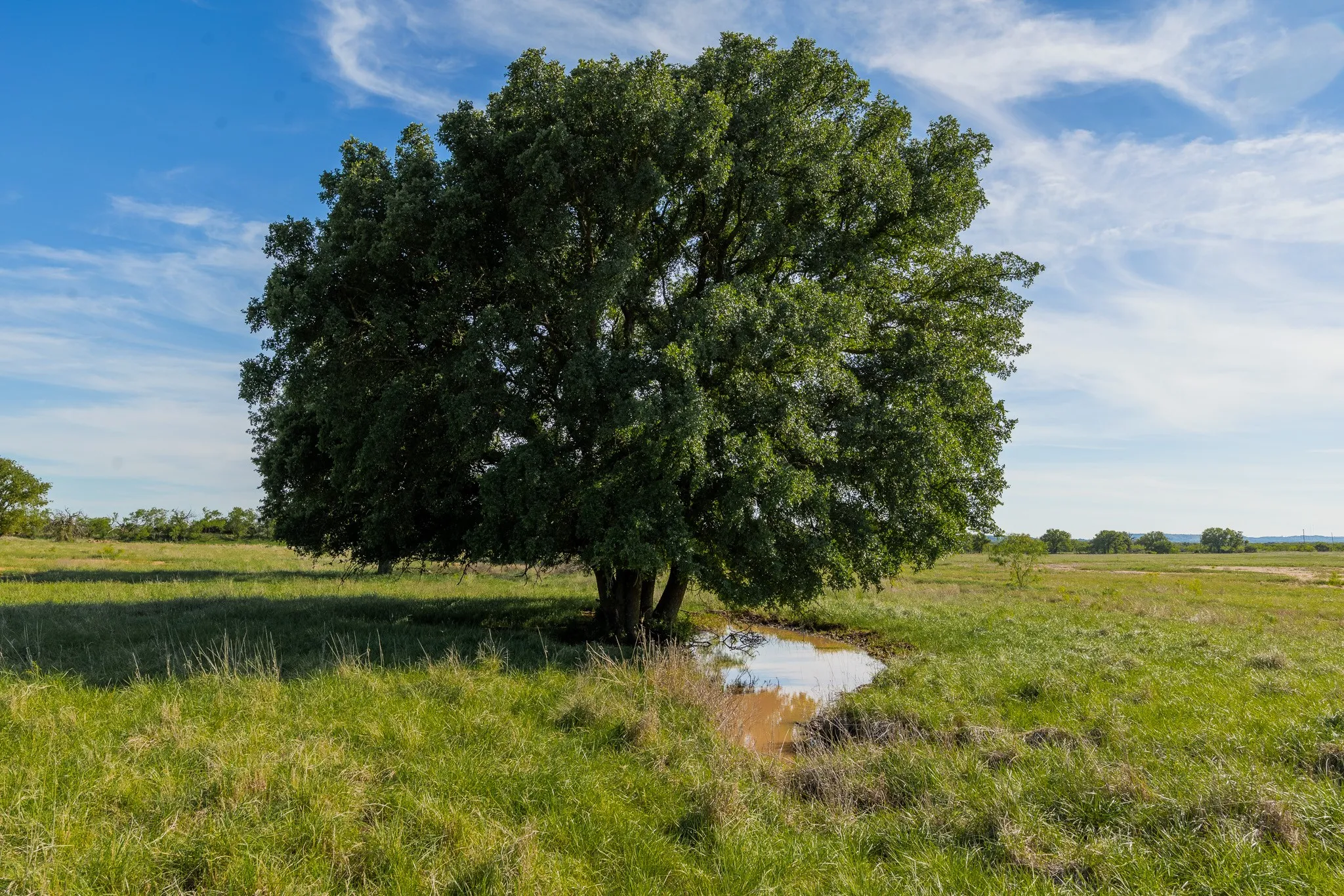 Ranch For Sale in Coleman County , TBD C.R. 132, Coleman, Texas 76834, 0, 0, Garage spaces, 0 Sqft, built in 0, Price $1,292,000, mls#21241900, Real Estate Agent in Coleman, Homes For Sale in Coleman county, Homes For Sale in Coleman, Realtor in Coleman Texas, Real Estate Brokerage Independent Realty Texas, Luminita Cordes Realtor