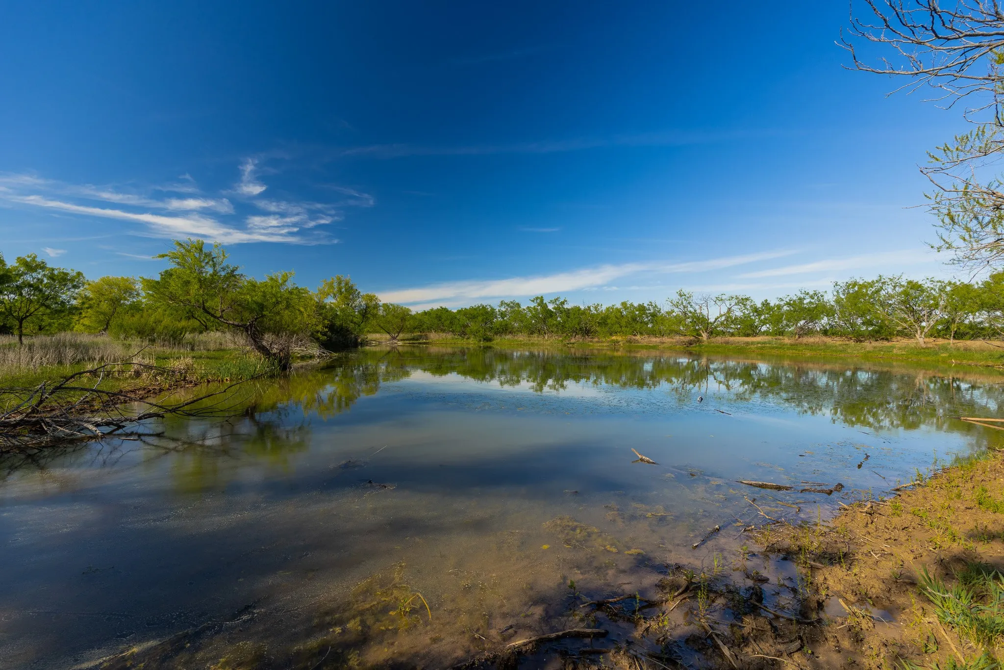 Ranch For Sale in Coleman County , TBD C.R. 132, Coleman, Texas 76834, 0, 0, Garage spaces, 0 Sqft, built in 0, Price $1,292,000, mls#21241900, Real Estate Agent in Coleman, Homes For Sale in Coleman county, Homes For Sale in Coleman, Realtor in Coleman Texas, Real Estate Brokerage Independent Realty Texas, Luminita Cordes Realtor