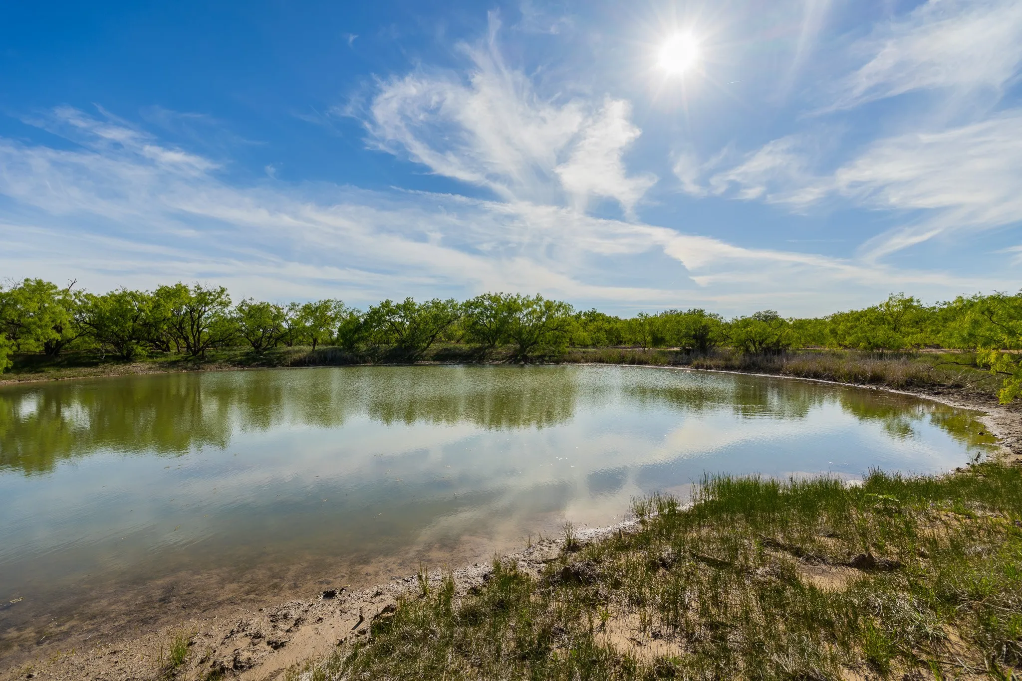 Ranch For Sale in Coleman County , TBD C.R. 132, Coleman, Texas 76834, 0, 0, Garage spaces, 0 Sqft, built in 0, Price $1,292,000, mls#21241900, Real Estate Agent in Coleman, Homes For Sale in Coleman county, Homes For Sale in Coleman, Realtor in Coleman Texas, Real Estate Brokerage Independent Realty Texas, Luminita Cordes Realtor