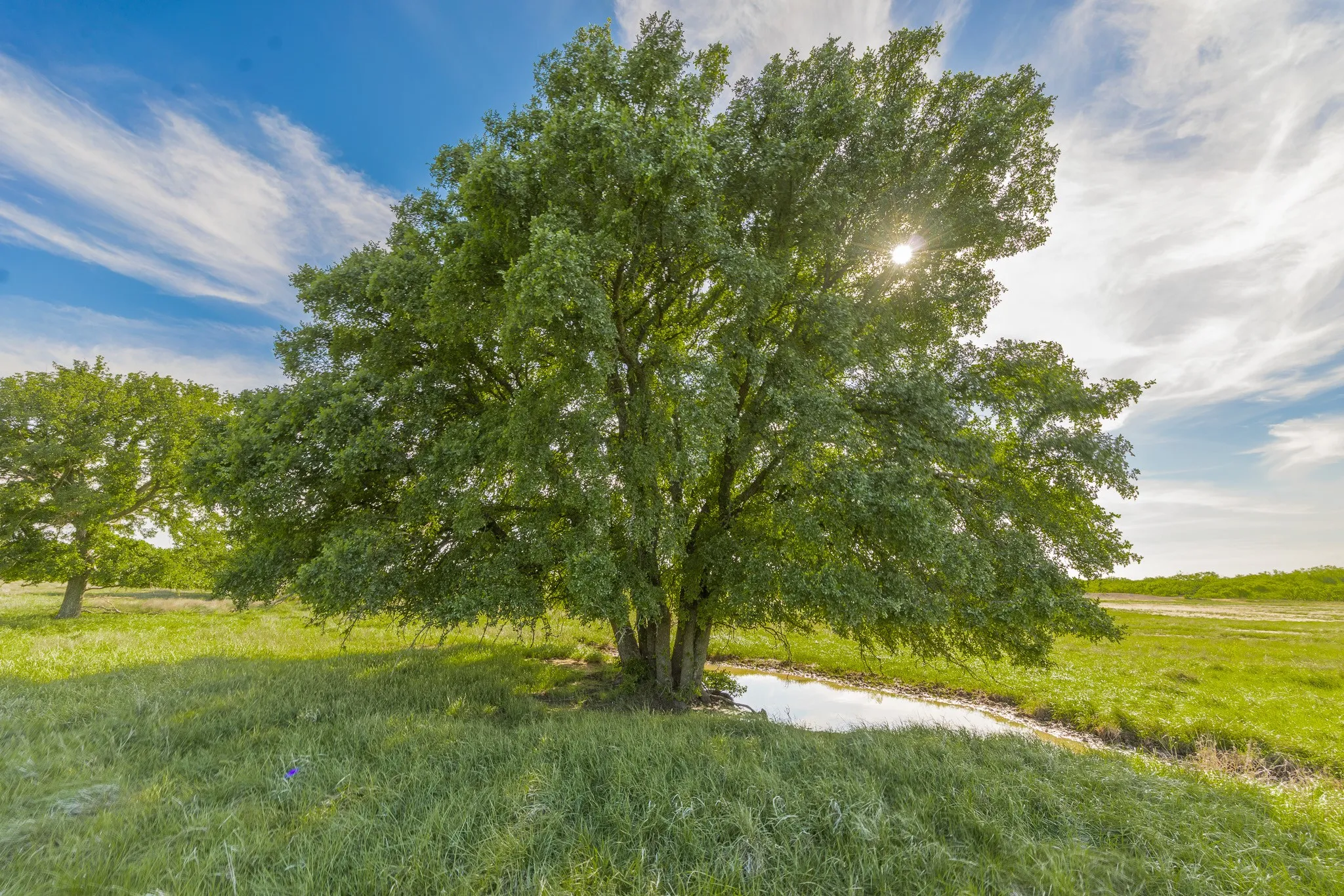 Ranch For Sale in Coleman County , TBD C.R. 132, Coleman, Texas 76834, 0, 0, Garage spaces, 0 Sqft, built in 0, Price $1,292,000, mls#21241900, Real Estate Agent in Coleman, Homes For Sale in Coleman county, Homes For Sale in Coleman, Realtor in Coleman Texas, Real Estate Brokerage Independent Realty Texas, Luminita Cordes Realtor