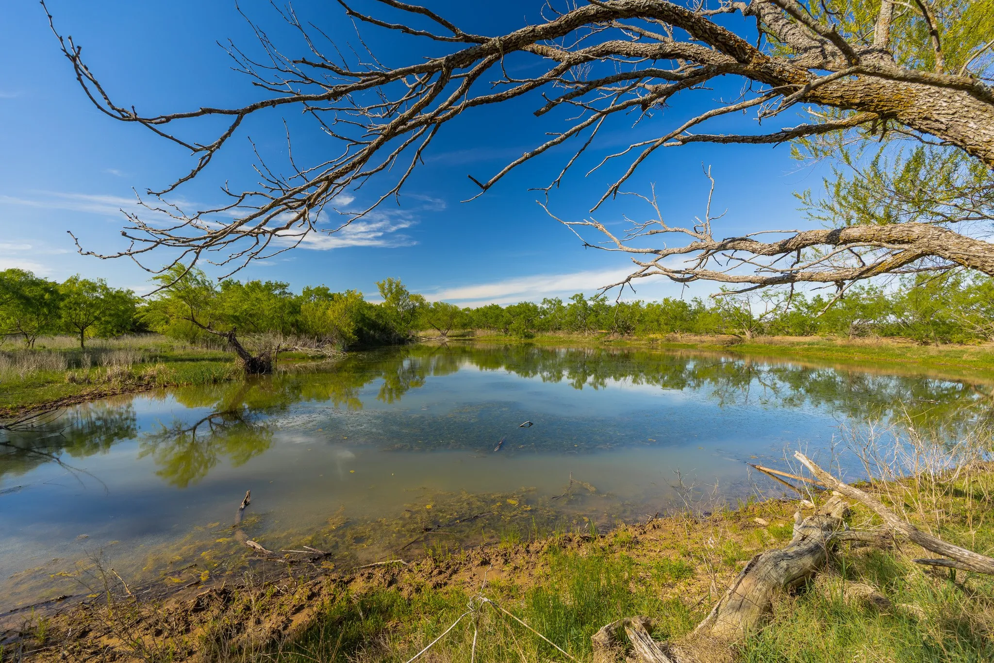 Ranch For Sale in Coleman County , TBD C.R. 132, Coleman, Texas 76834, 0, 0, Garage spaces, 0 Sqft, built in 0, Price $1,292,000, mls#21241900, Real Estate Agent in Coleman, Homes For Sale in Coleman county, Homes For Sale in Coleman, Realtor in Coleman Texas, Real Estate Brokerage Independent Realty Texas, Luminita Cordes Realtor