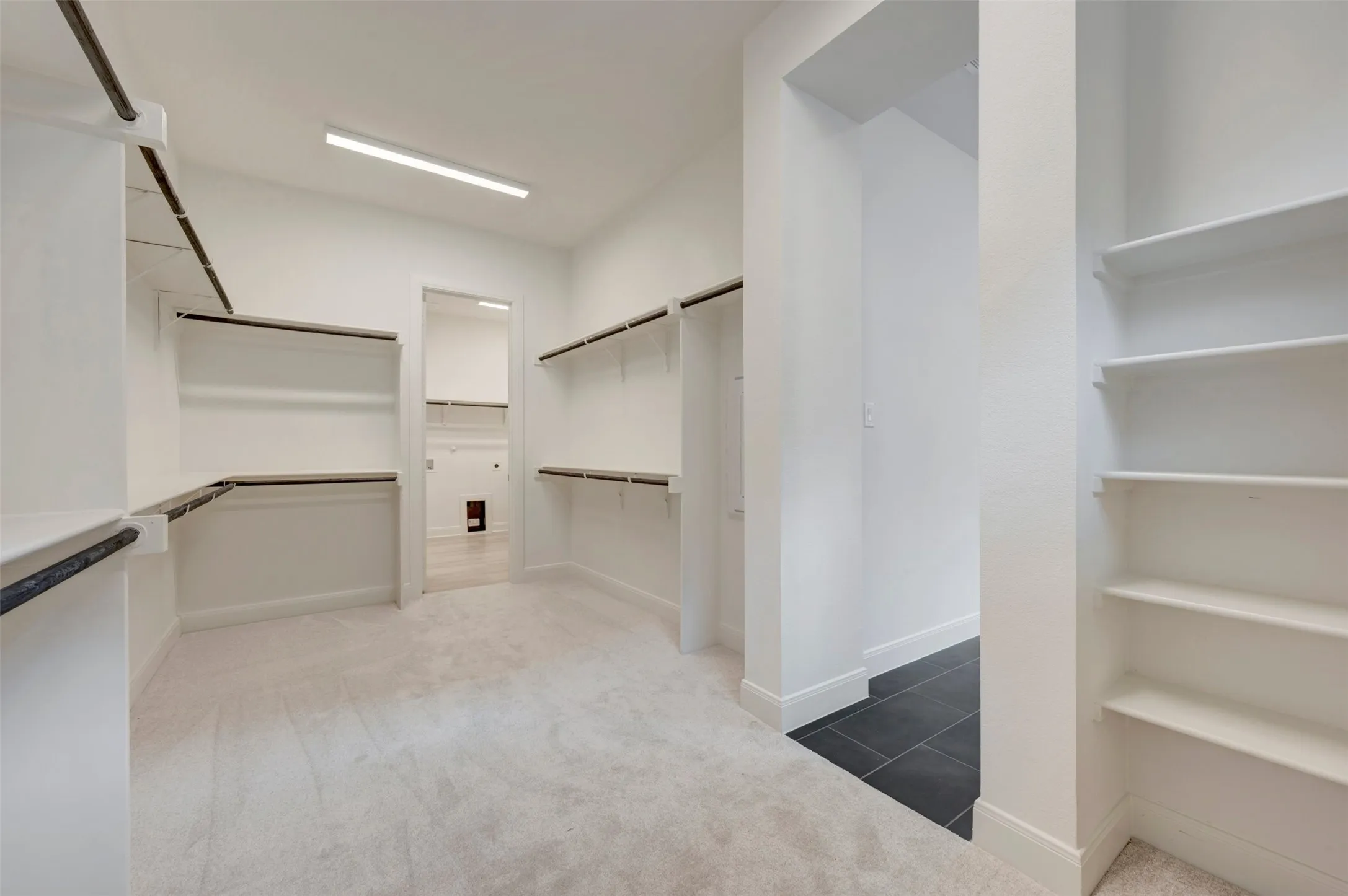 Expansive closet with extensive shelving and hanging rods, light-toned carpeting, and a recessed ceiling light fixture