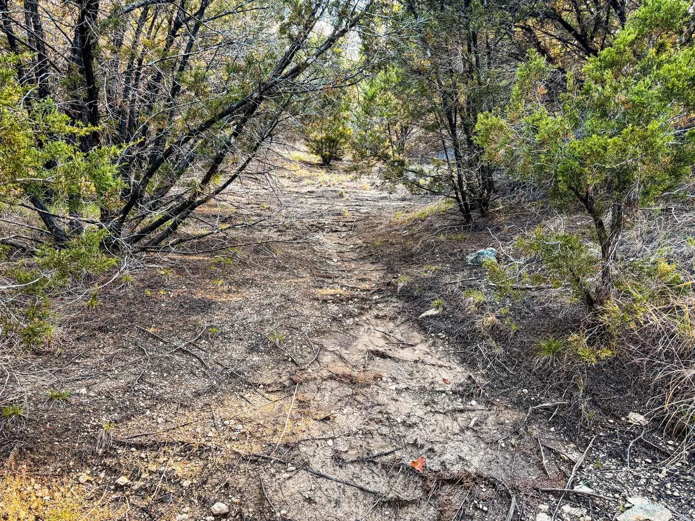 Farm For Sale in Coryell County , 601 County Road 60, Gatesville, Texas 76528, 1 Bedroom, 1 Bathroom, Garage spaces, 512 Sqft, built in 2015, Preowned, mls#21245044, Real Estate Agent in Gatesville, Homes For Sale in Coryell county, Homes For Sale in Gatesville, Realtor in Gatesville Texas, Real Estate Brokerage Independent Realty Texas, Luminita Cordes Realtor
