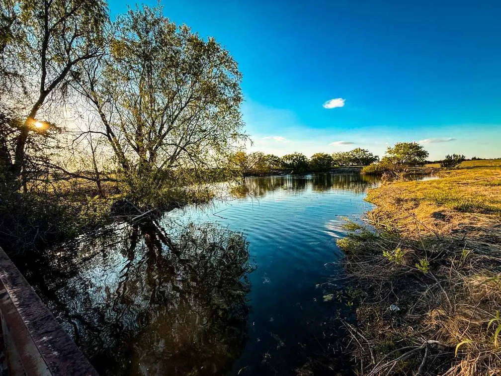 Farm For Sale in Coryell County , 601 County Road 60, Gatesville, Texas 76528, 1 Bedroom, 1 Bathroom, Garage spaces, 512 Sqft, built in 2015, Preowned, mls#21245044, Real Estate Agent in Gatesville, Homes For Sale in Coryell county, Homes For Sale in Gatesville, Realtor in Gatesville Texas, Real Estate Brokerage Independent Realty Texas, Luminita Cordes Realtor