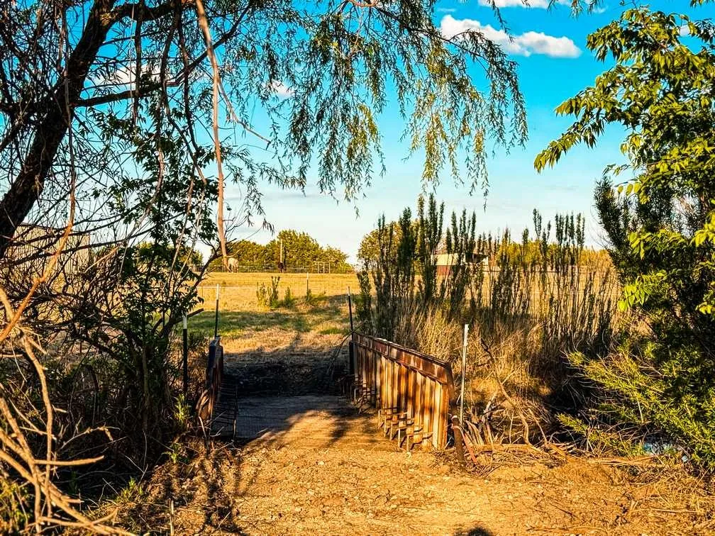 Farm For Sale in Coryell County , 601 County Road 60, Gatesville, Texas 76528, 1 Bedroom, 1 Bathroom, Garage spaces, 512 Sqft, built in 2015, Preowned, mls#21245044, Real Estate Agent in Gatesville, Homes For Sale in Coryell county, Homes For Sale in Gatesville, Realtor in Gatesville Texas, Real Estate Brokerage Independent Realty Texas, Luminita Cordes Realtor