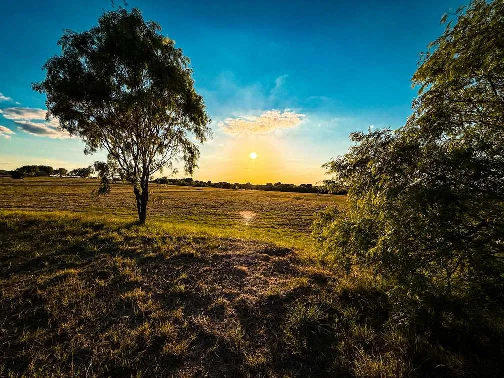 Farm For Sale in Coryell County , 601 County Road 60, Gatesville, Texas 76528, 1 Bedroom, 1 Bathroom, Garage spaces, 512 Sqft, built in 2015, Preowned, mls#21245044, Real Estate Agent in Gatesville, Homes For Sale in Coryell county, Homes For Sale in Gatesville, Realtor in Gatesville Texas, Real Estate Brokerage Independent Realty Texas, Luminita Cordes Realtor