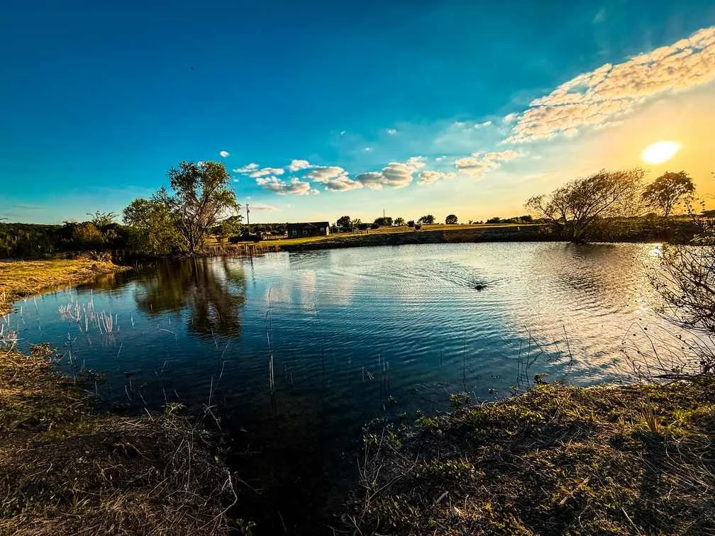 Farm For Sale in Coryell County , 601 County Road 60, Gatesville, Texas 76528, 1 Bedroom, 1 Bathroom, Garage spaces, 512 Sqft, built in 2015, Preowned, mls#21245044, Real Estate Agent in Gatesville, Homes For Sale in Coryell county, Homes For Sale in Gatesville, Realtor in Gatesville Texas, Real Estate Brokerage Independent Realty Texas, Luminita Cordes Realtor