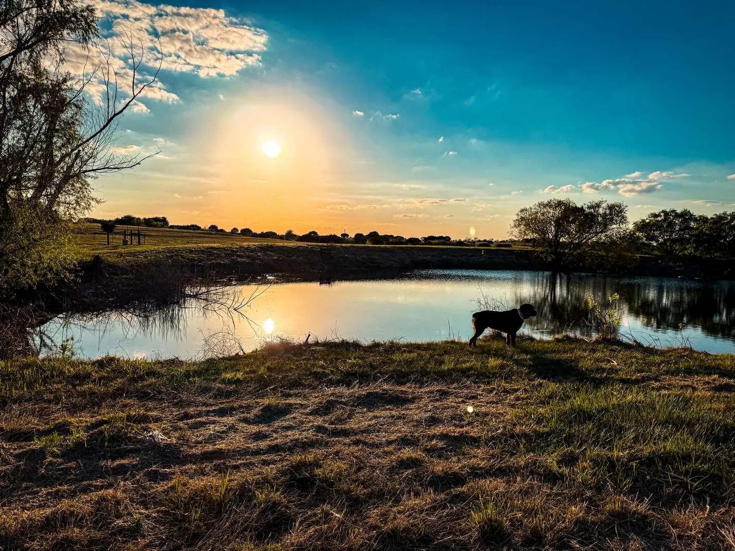 Farm For Sale in Coryell County , 601 County Road 60, Gatesville, Texas 76528, 1 Bedroom, 1 Bathroom, Garage spaces, 512 Sqft, built in 2015, Preowned, mls#21245044, Real Estate Agent in Gatesville, Homes For Sale in Coryell county, Homes For Sale in Gatesville, Realtor in Gatesville Texas, Real Estate Brokerage Independent Realty Texas, Luminita Cordes Realtor