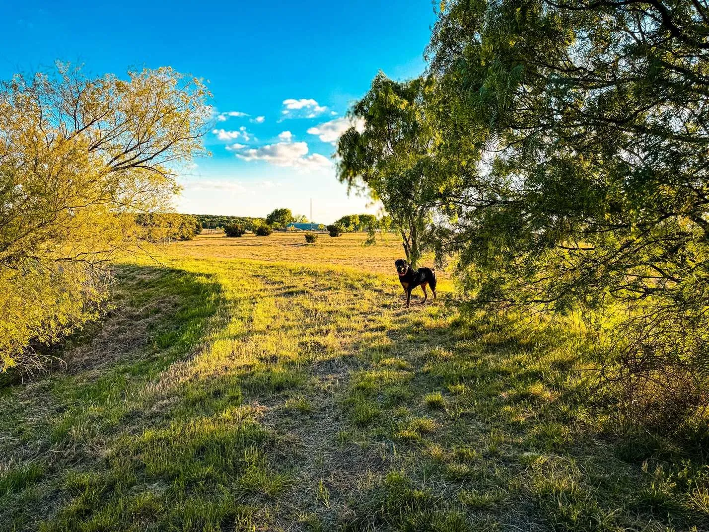 Farm For Sale in Coryell County , 601 County Road 60, Gatesville, Texas 76528, 1 Bedroom, 1 Bathroom, Garage spaces, 512 Sqft, built in 2015, Preowned, mls#21245044, Real Estate Agent in Gatesville, Homes For Sale in Coryell county, Homes For Sale in Gatesville, Realtor in Gatesville Texas, Real Estate Brokerage Independent Realty Texas, Luminita Cordes Realtor