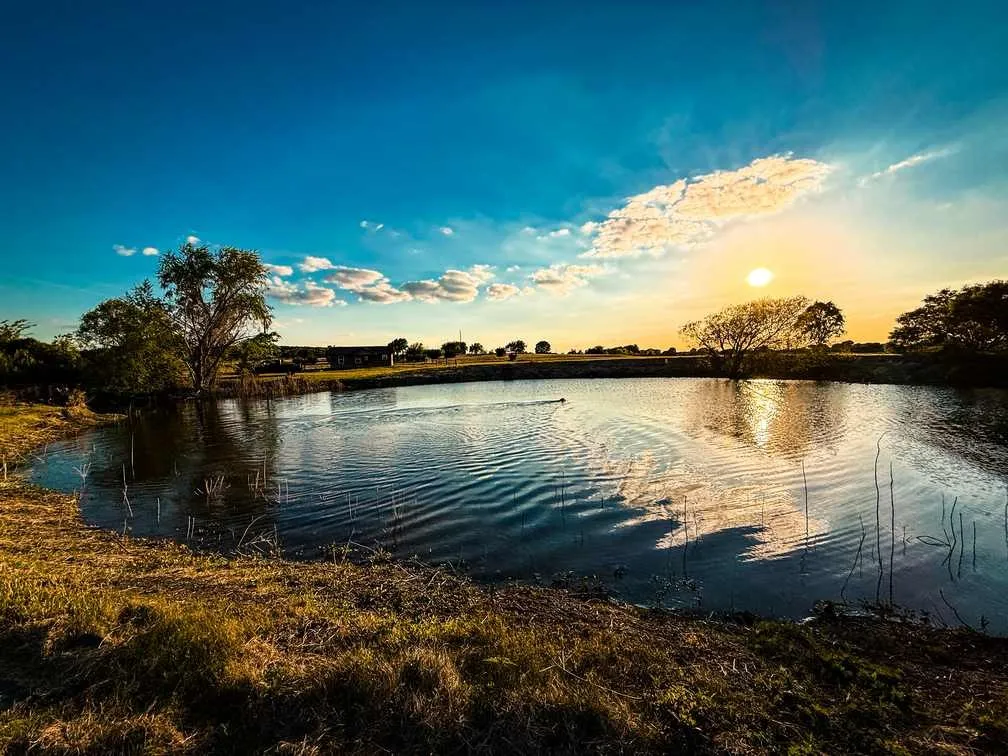 Farm For Sale in Coryell County , 601 County Road 60, Gatesville, Texas 76528, 1 Bedroom, 1 Bathroom, Garage spaces, 512 Sqft, built in 2015, Preowned, mls#21245044, Real Estate Agent in Gatesville, Homes For Sale in Coryell county, Homes For Sale in Gatesville, Realtor in Gatesville Texas, Real Estate Brokerage Independent Realty Texas, Luminita Cordes Realtor