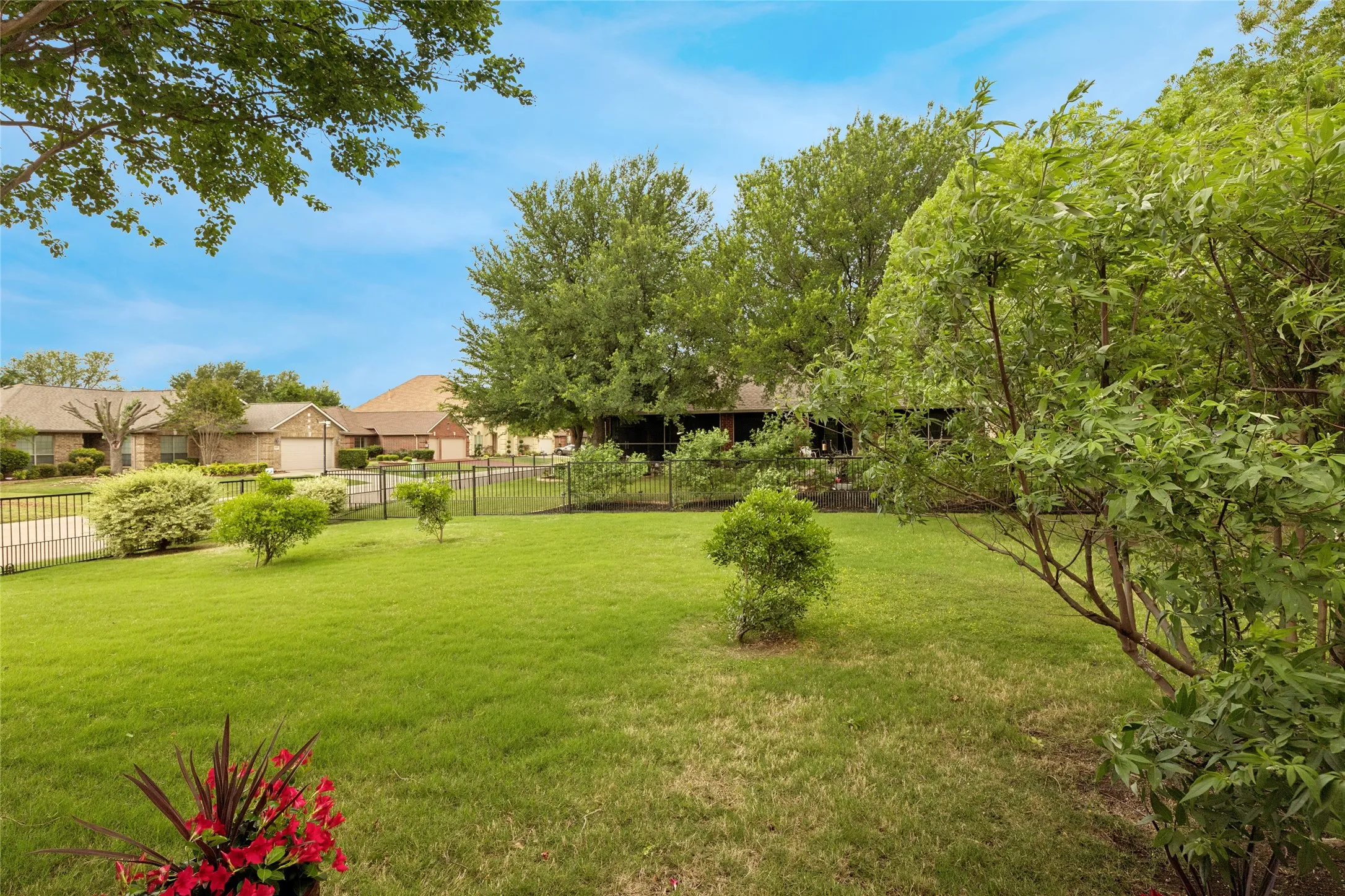 Side view from patio