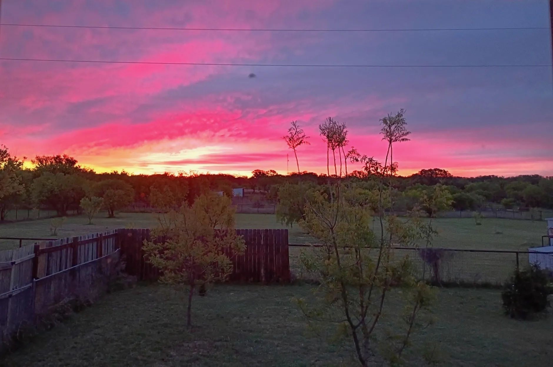 Sunrise out the kitchen window