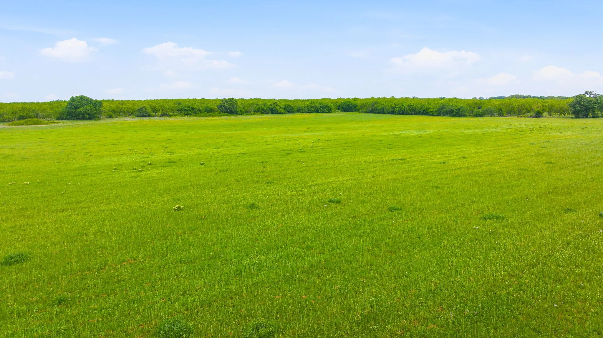 Farm For Sale in Comanche County , 3480 Fm 1496, Dublin, Texas 76446, 3 Bedroom, 2 Bathroom, Garage spaces, 1,974 Sqft, built in 1962, mls#21244956, Real Estate Agent in Dublin, Homes For Sale in Comanche county, Homes For Sale in Dublin, Realtor in Dublin Texas, Real Estate Brokerage Independent Realty Texas, Luminita Cordes Realtor