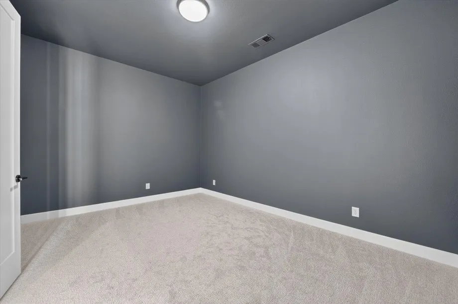 Entertainment Room