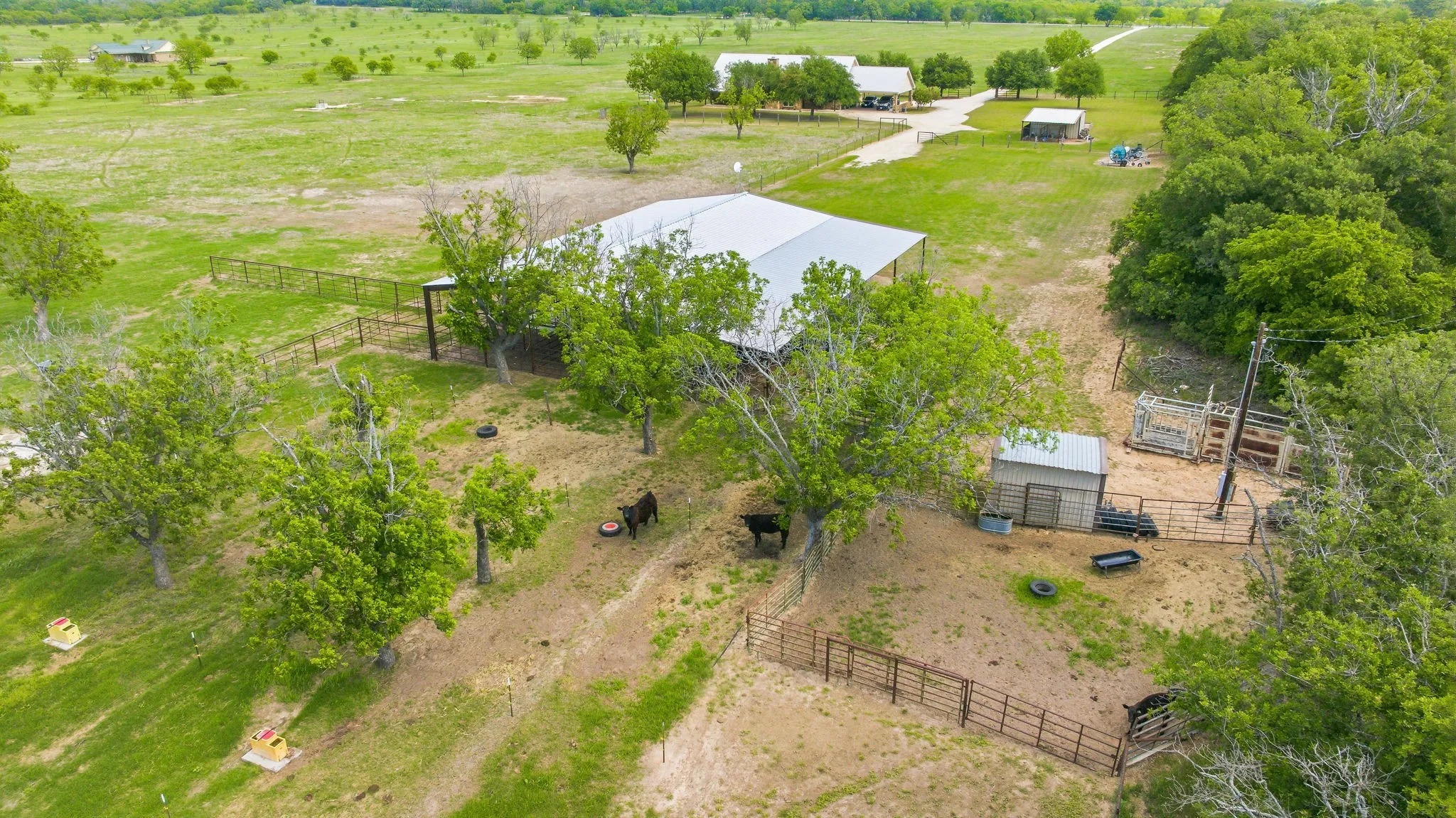 Farm For Sale in Comanche County , 2548 Fm 1496, Dublin, Texas 76446, 4 Bedroom, 3 Bathroom, Garage spaces, 2,828 Sqft, built in 2007, mls#21245026, Real Estate Agent in Dublin, Homes For Sale in Comanche county, Homes For Sale in Dublin, Realtor in Dublin Texas, Real Estate Brokerage Independent Realty Texas, Luminita Cordes Realtor