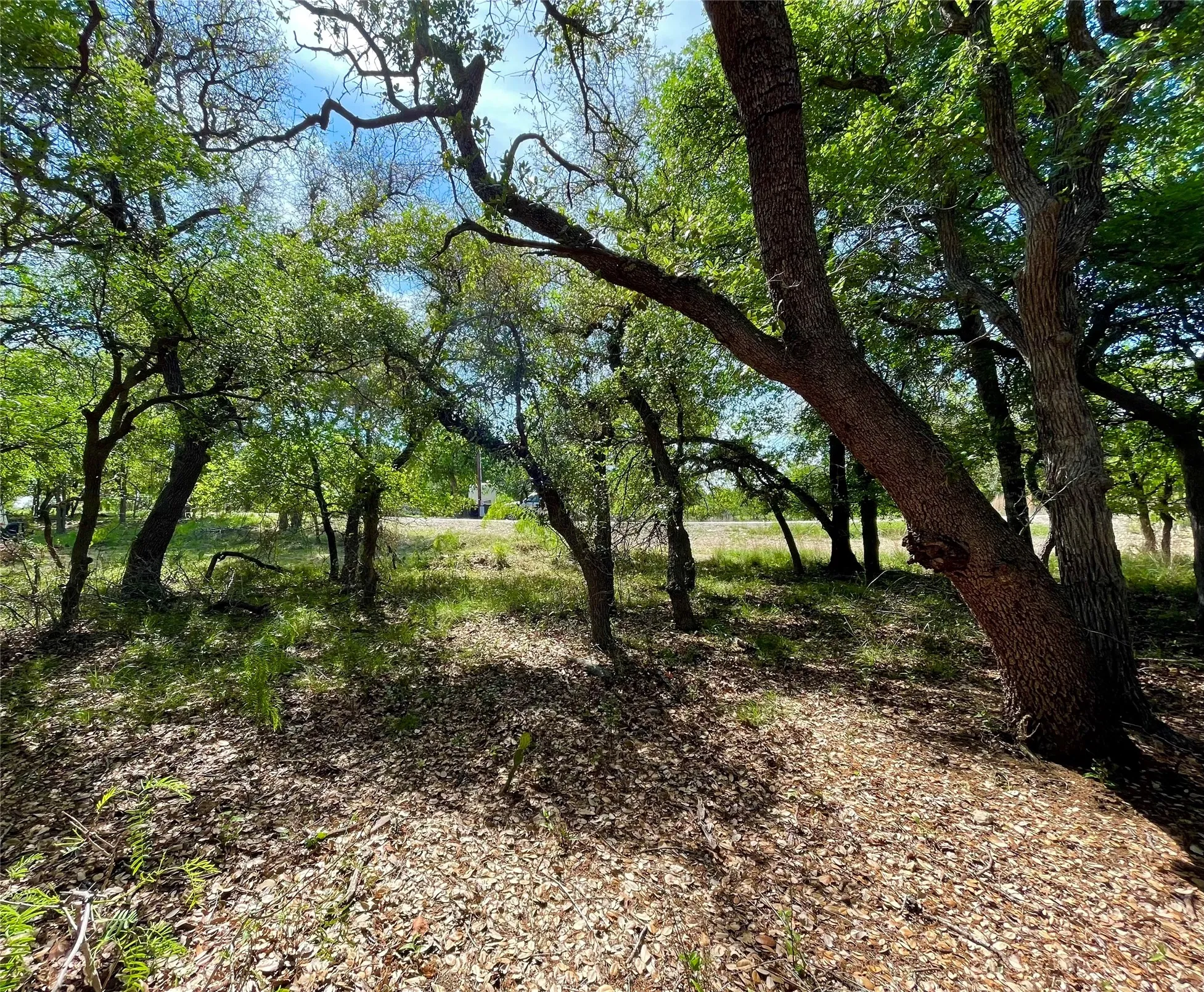 Unimproved Land For Sale in Brown County , TBD (Lots 785, 786) Oak Point Drive, May, Texas 76857, 0, 0, Garage spaces, 0 Sqft, built in 0, Price $16,000, mls#21245379, Real Estate Agent in May, Homes For Sale in Brown county, Homes For Sale in May, Realtor in May Texas, Real Estate Brokerage Independent Realty Texas, Luminita Cordes Realtor