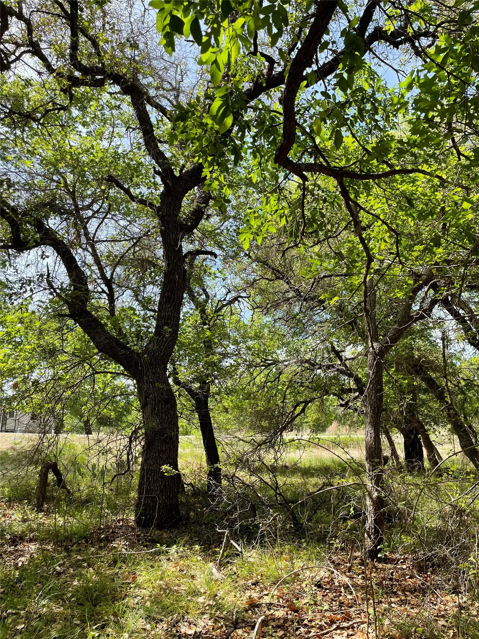 Unimproved Land For Sale in Brown County , TBD (Lots 785, 786) Oak Point Drive, May, Texas 76857, 0, 0, Garage spaces, 0 Sqft, built in 0, Price $16,000, mls#21245379, Real Estate Agent in May, Homes For Sale in Brown county, Homes For Sale in May, Realtor in May Texas, Real Estate Brokerage Independent Realty Texas, Luminita Cordes Realtor