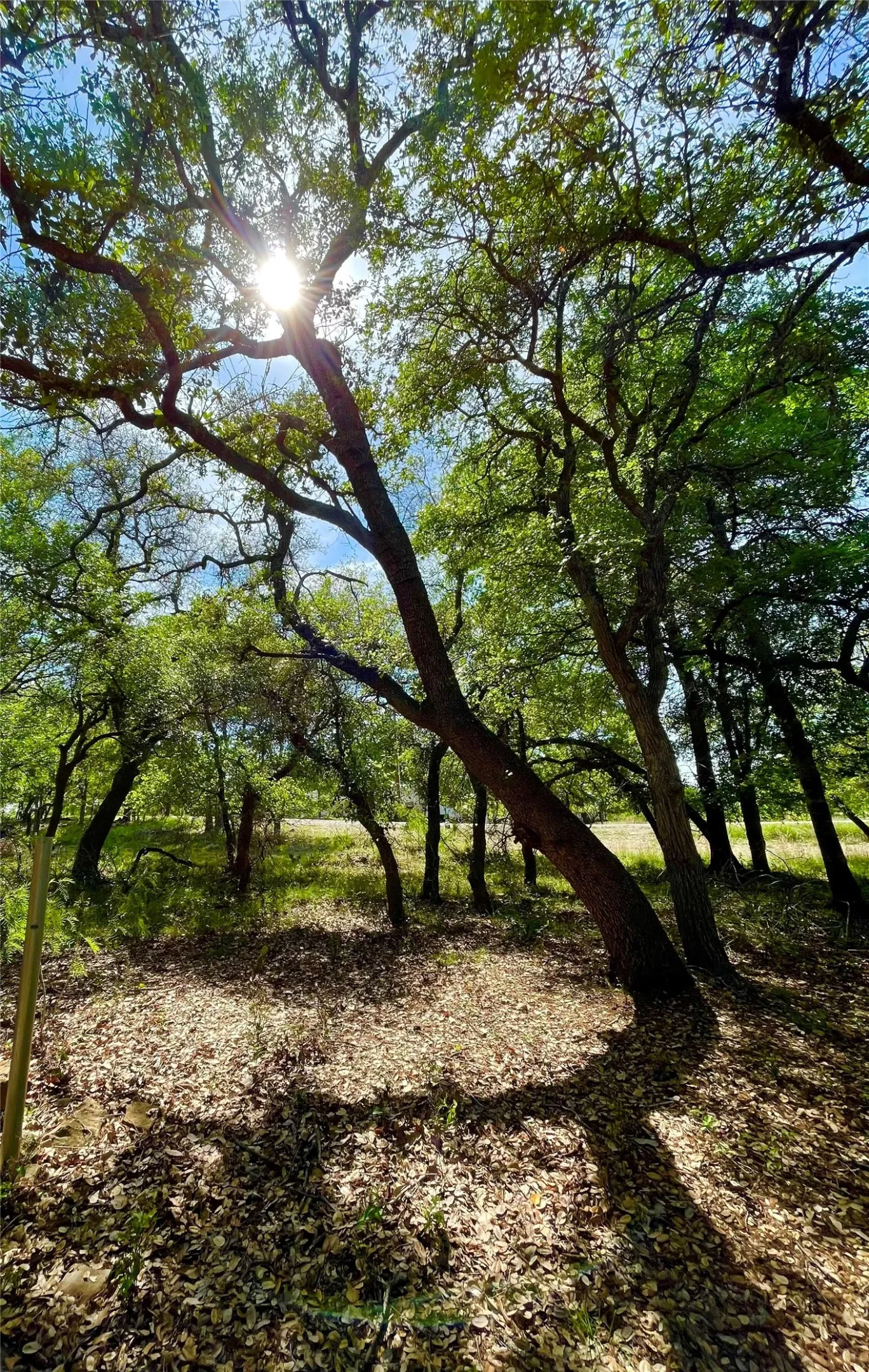 Unimproved Land For Sale in Brown County , TBD (Lots 785, 786) Oak Point Drive, May, Texas 76857, 0, 0, Garage spaces, 0 Sqft, built in 0, Price $16,000, mls#21245379, Real Estate Agent in May, Homes For Sale in Brown county, Homes For Sale in May, Realtor in May Texas, Real Estate Brokerage Independent Realty Texas, Luminita Cordes Realtor