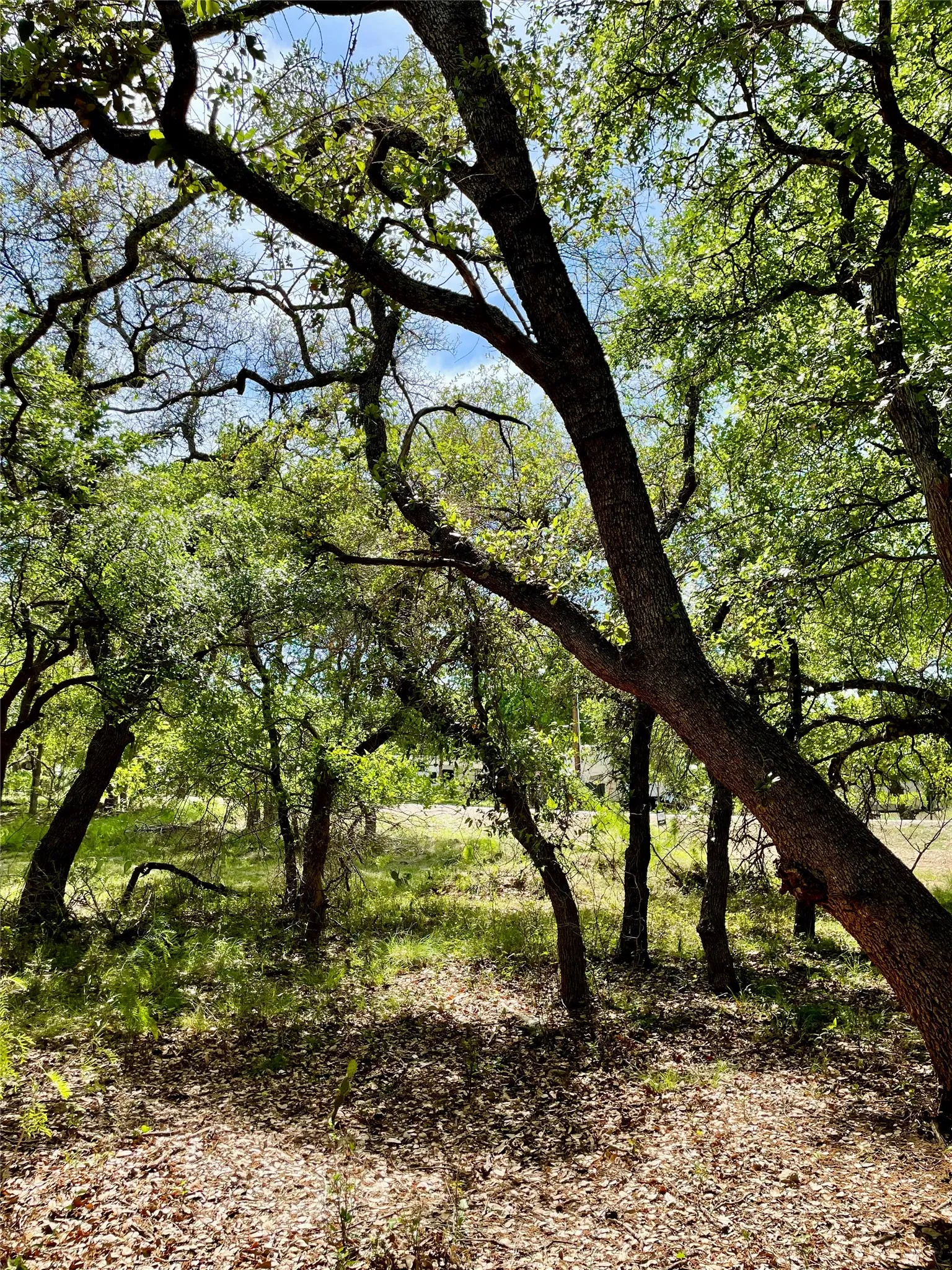Unimproved Land For Sale in Brown County , TBD (Lots 785, 786) Oak Point Drive, May, Texas 76857, 0, 0, Garage spaces, 0 Sqft, built in 0, Price $16,000, mls#21245379, Real Estate Agent in May, Homes For Sale in Brown county, Homes For Sale in May, Realtor in May Texas, Real Estate Brokerage Independent Realty Texas, Luminita Cordes Realtor