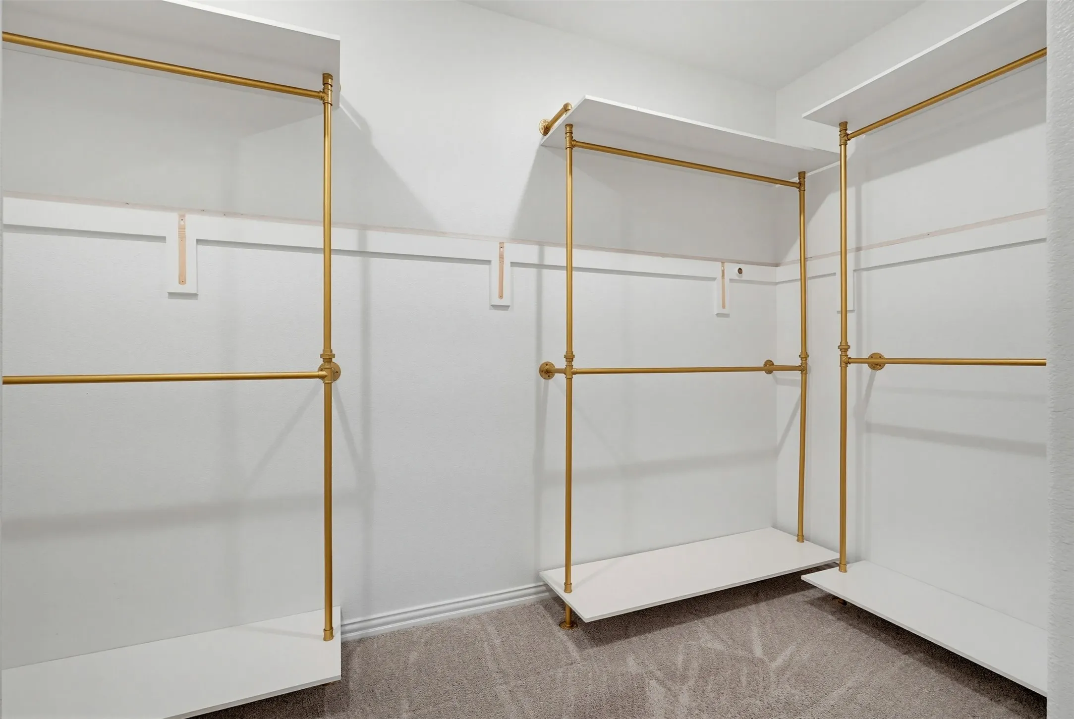 Primary Walk-in closet featuring white walls, gold-finish hanging rods, white shelving, and plush carpet flooring